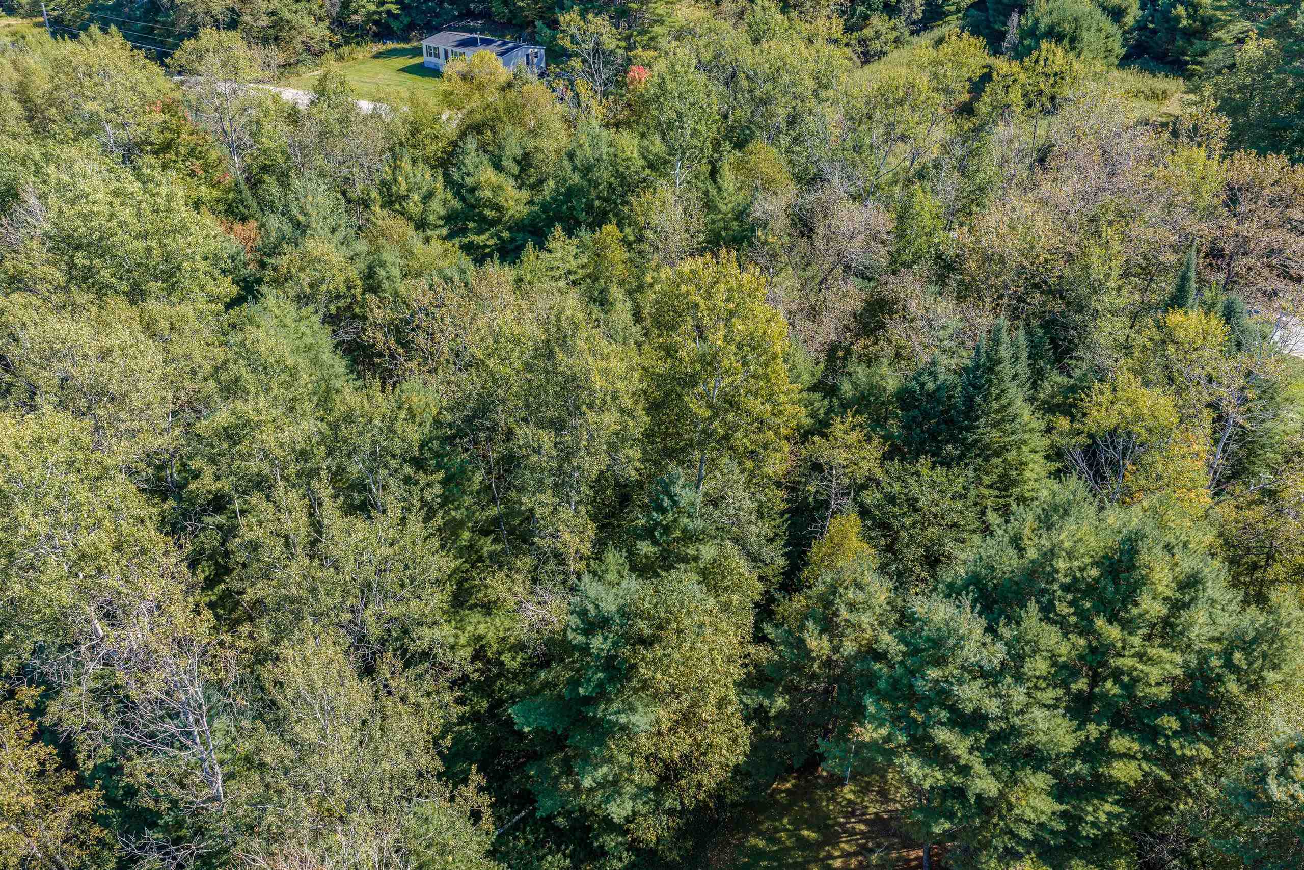 Mt Eustis Road Property Photo 36