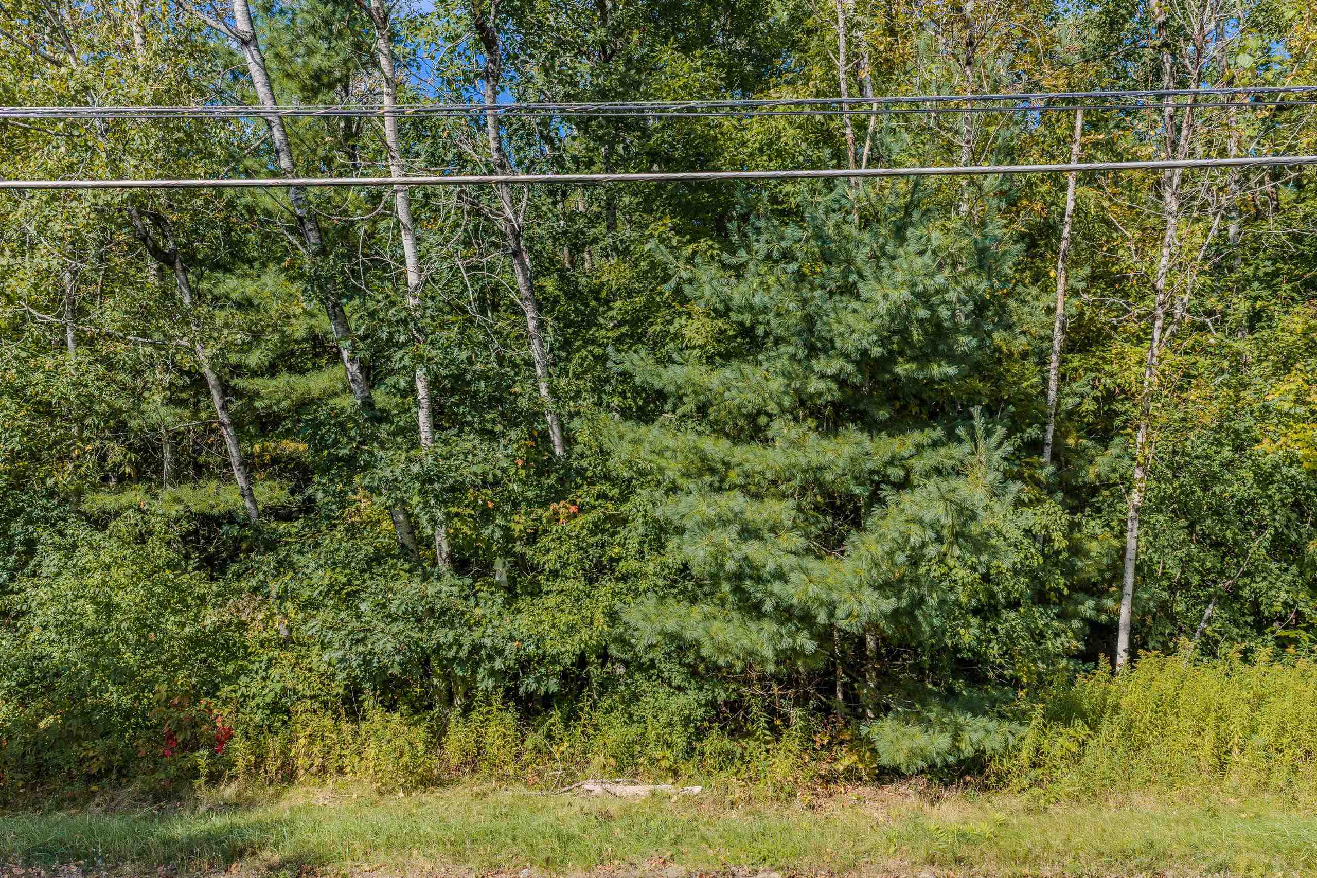 Mt Eustis Road Property Photo 39