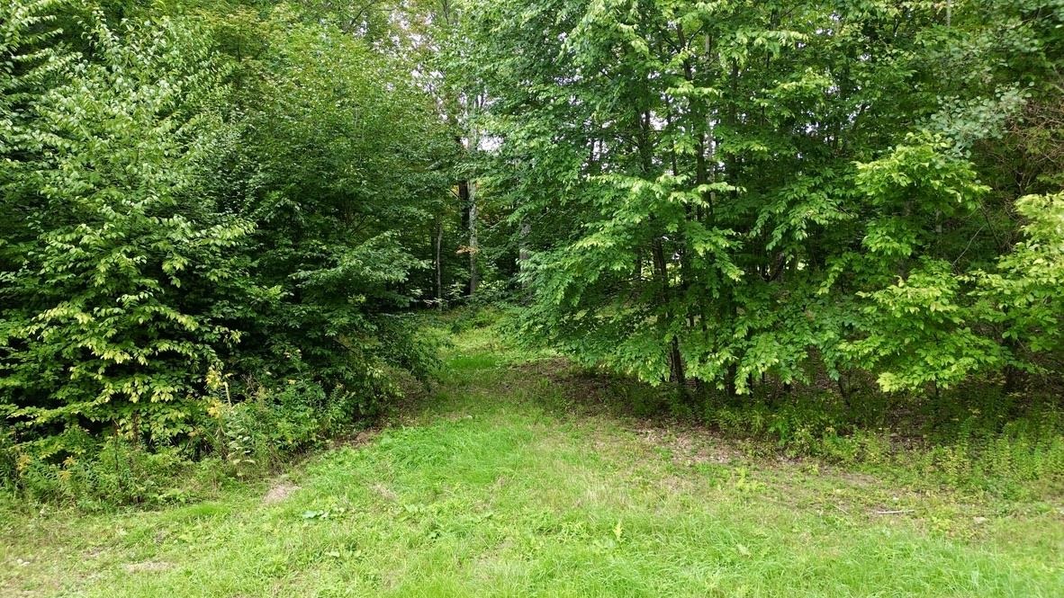 0 Pasquale Street Property Photo 2