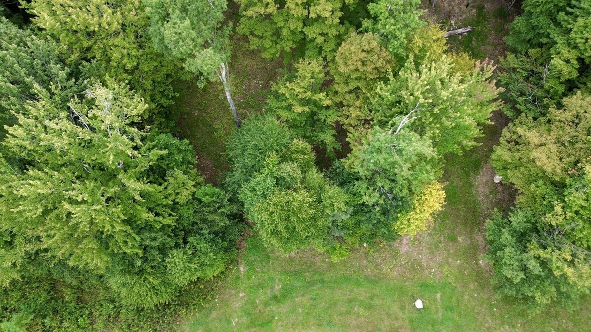 0 Pasquale Street Property Photo 3