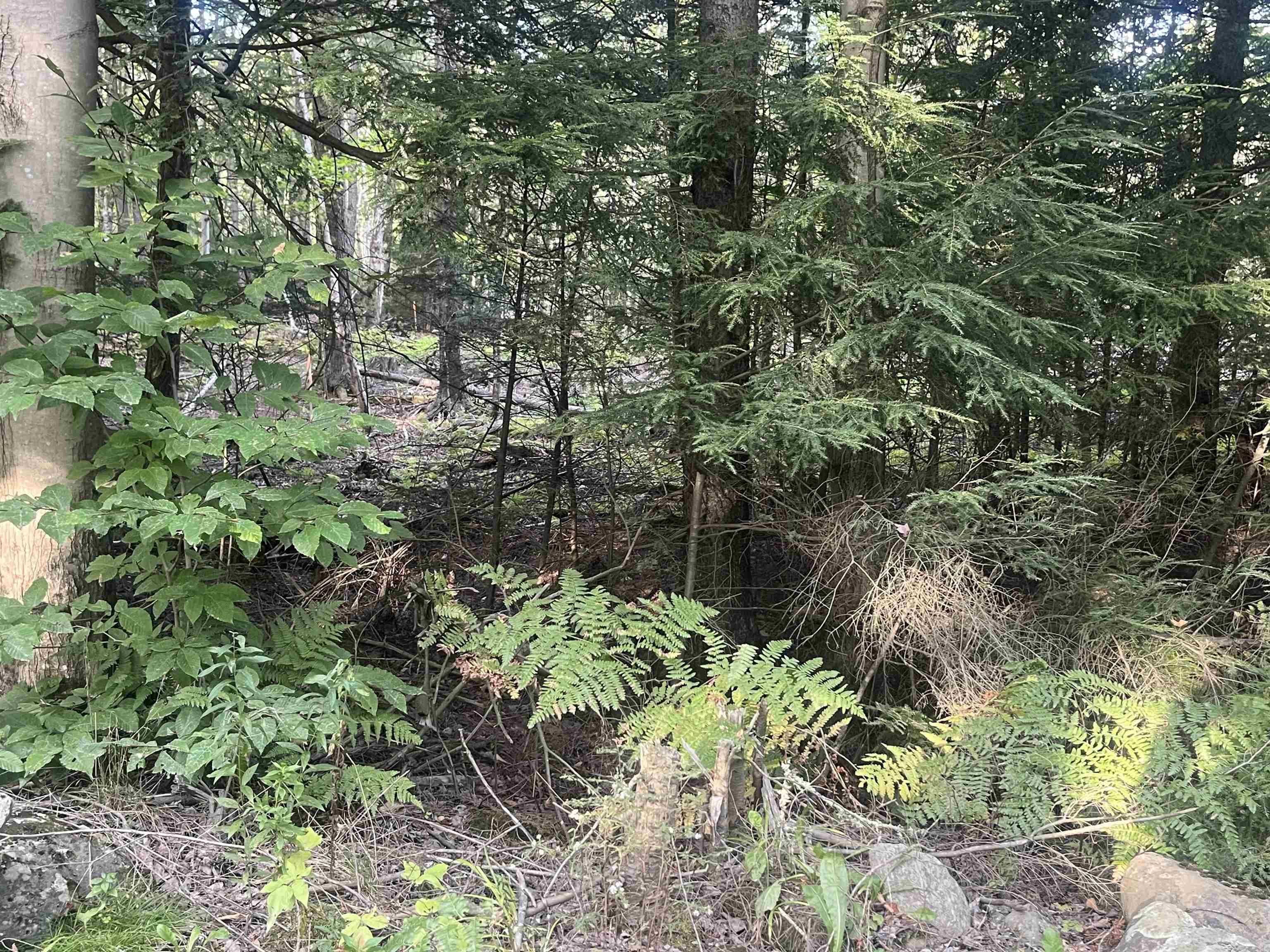 Lot 2 Clif Reynolds Road Property Photo 1