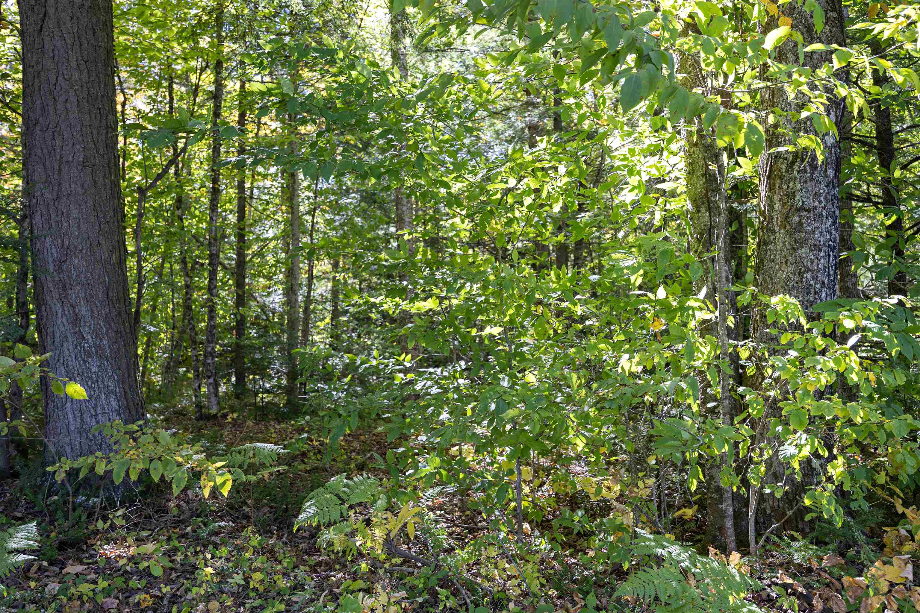 00 Garland Hill Road Property Photo 11