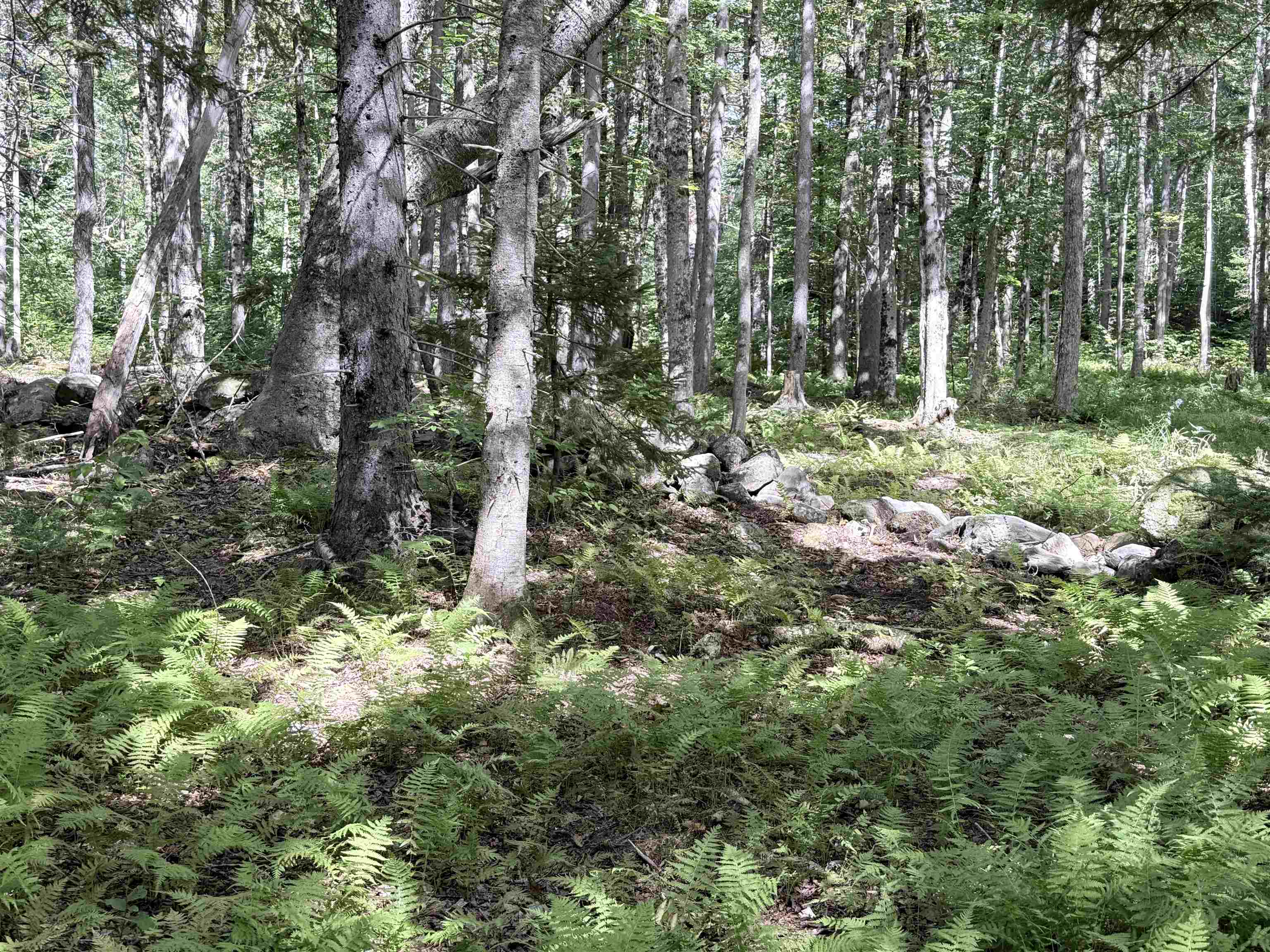 0 Cross Road Property Photo 1