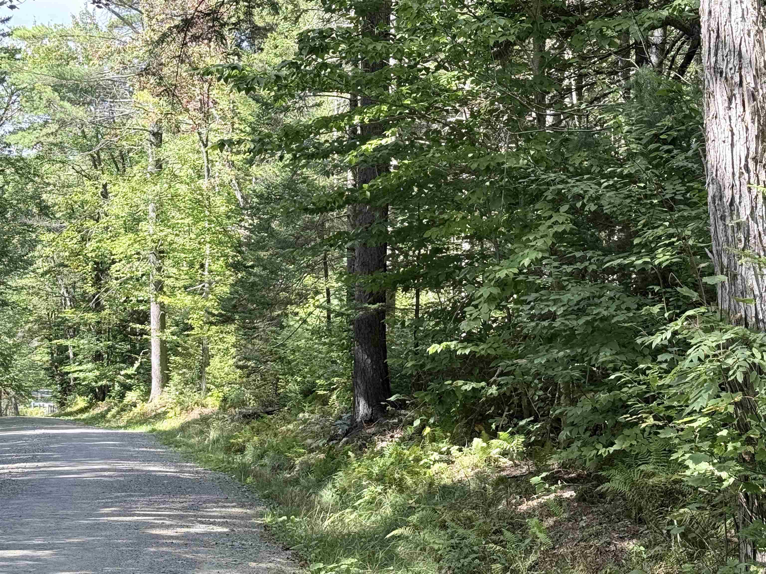 0 Cross Road Property Photo 2