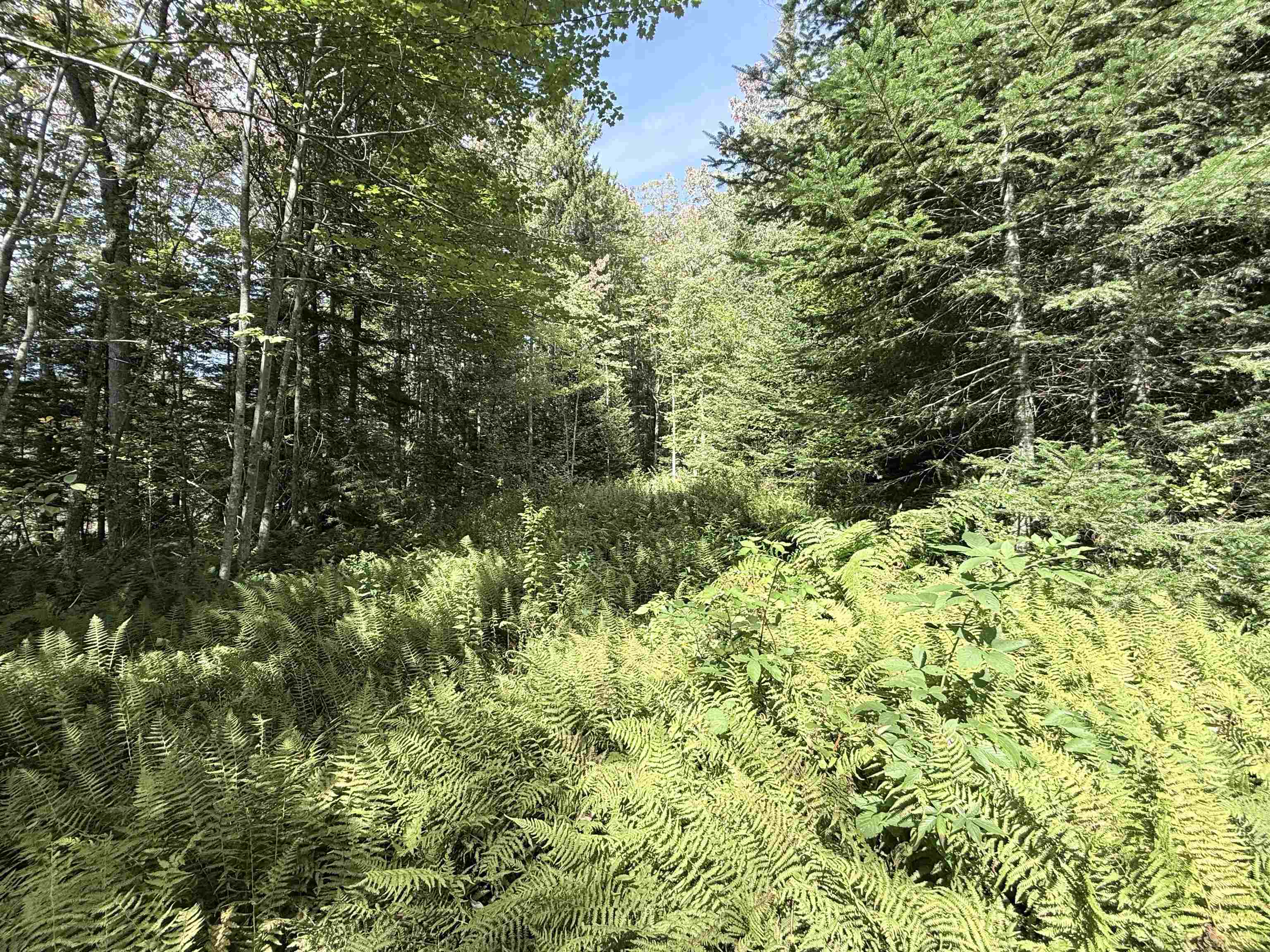 0 Cross Road Property Photo 10