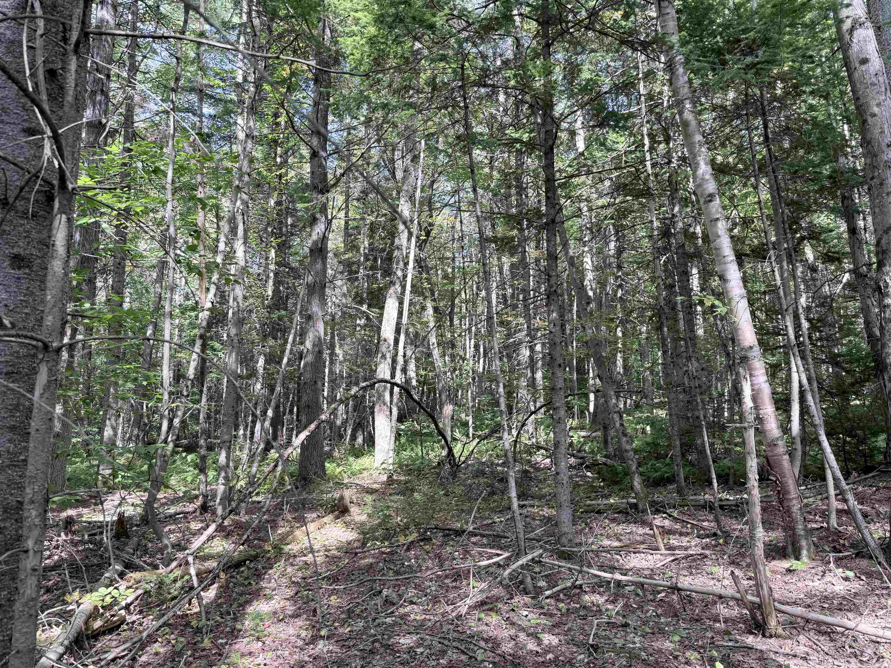 0 Cross Road Property Photo 12