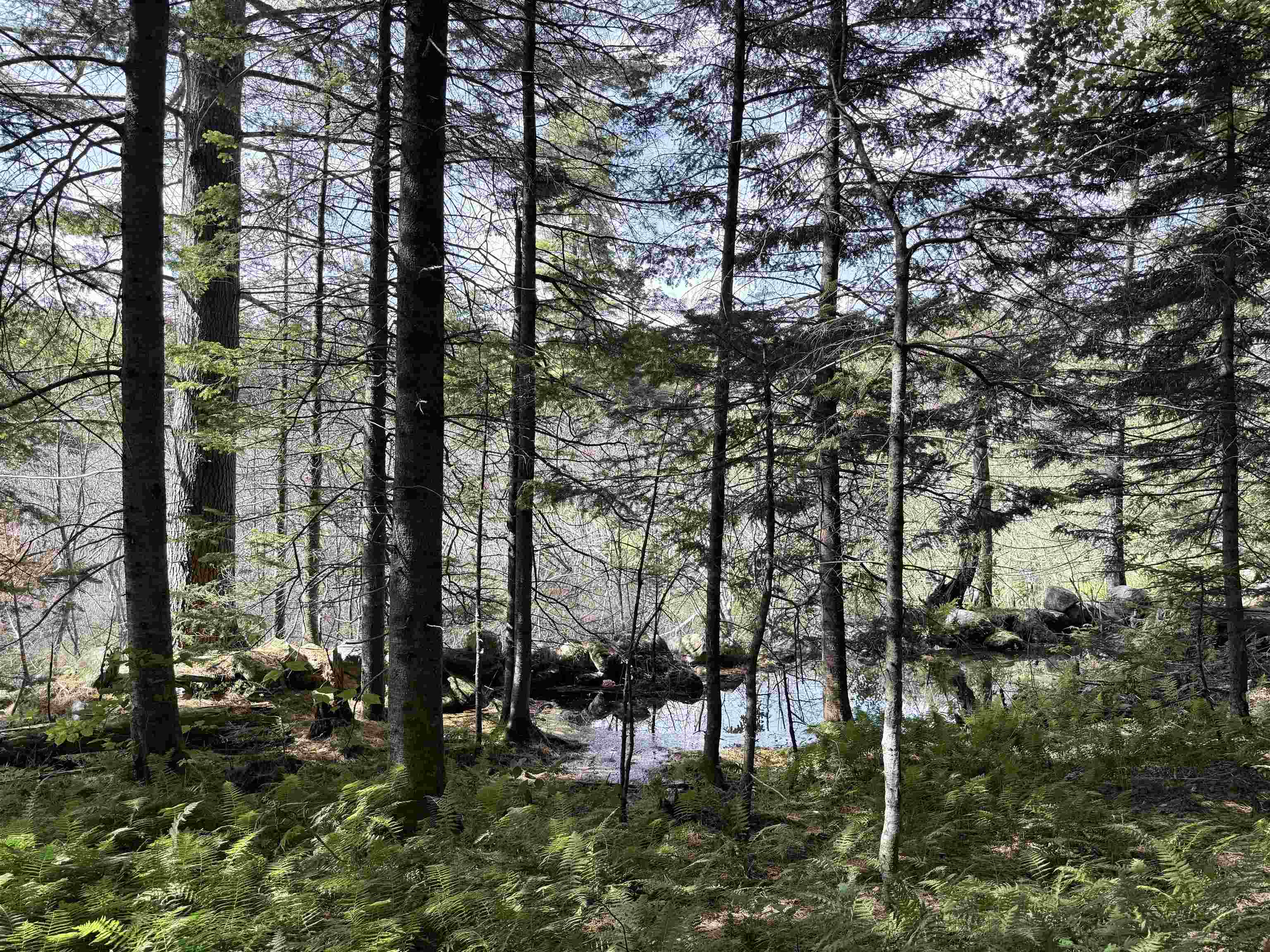 0 Cross Road Property Photo 13