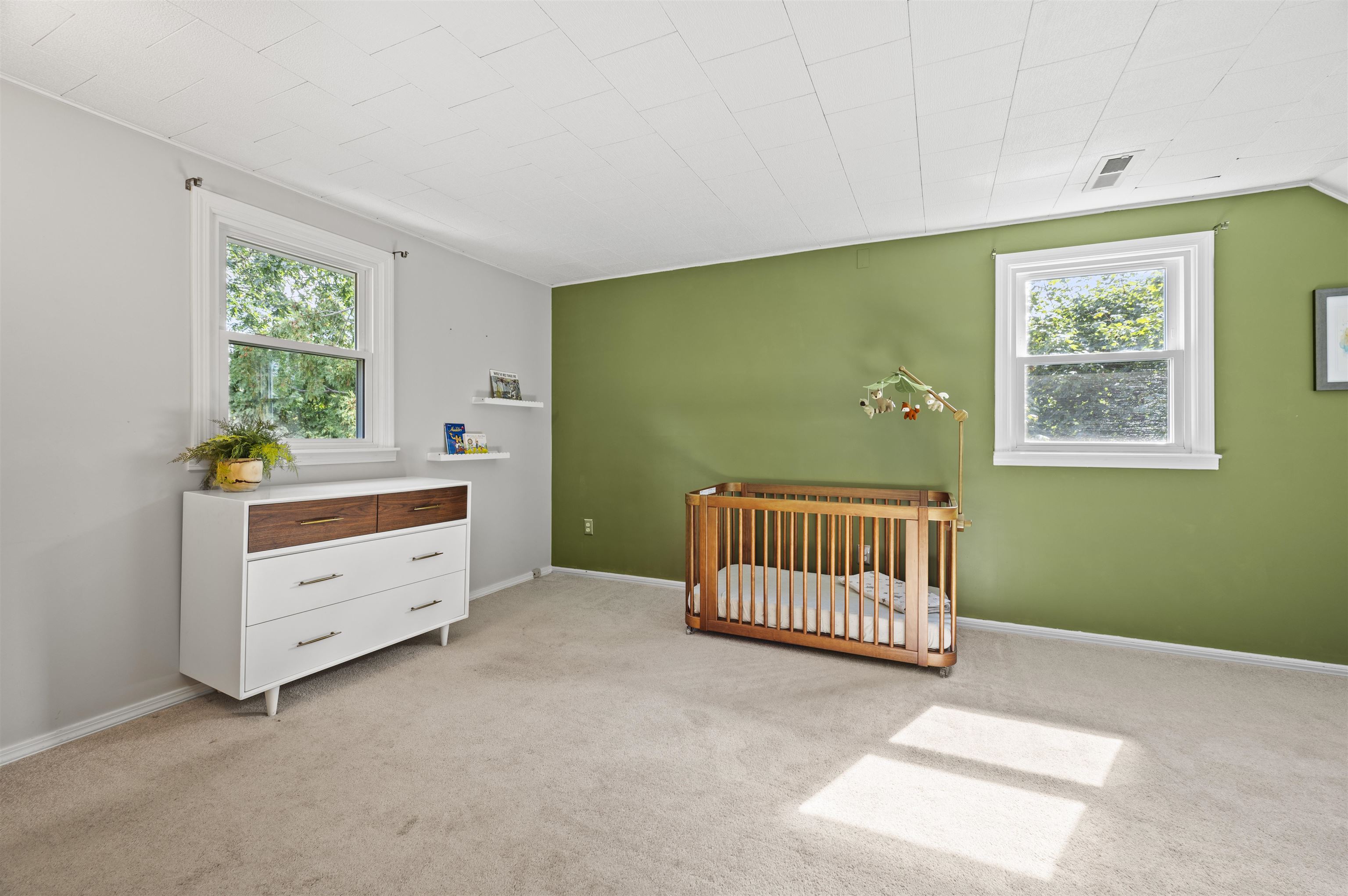 37 Woodfield Street Property Photo 24