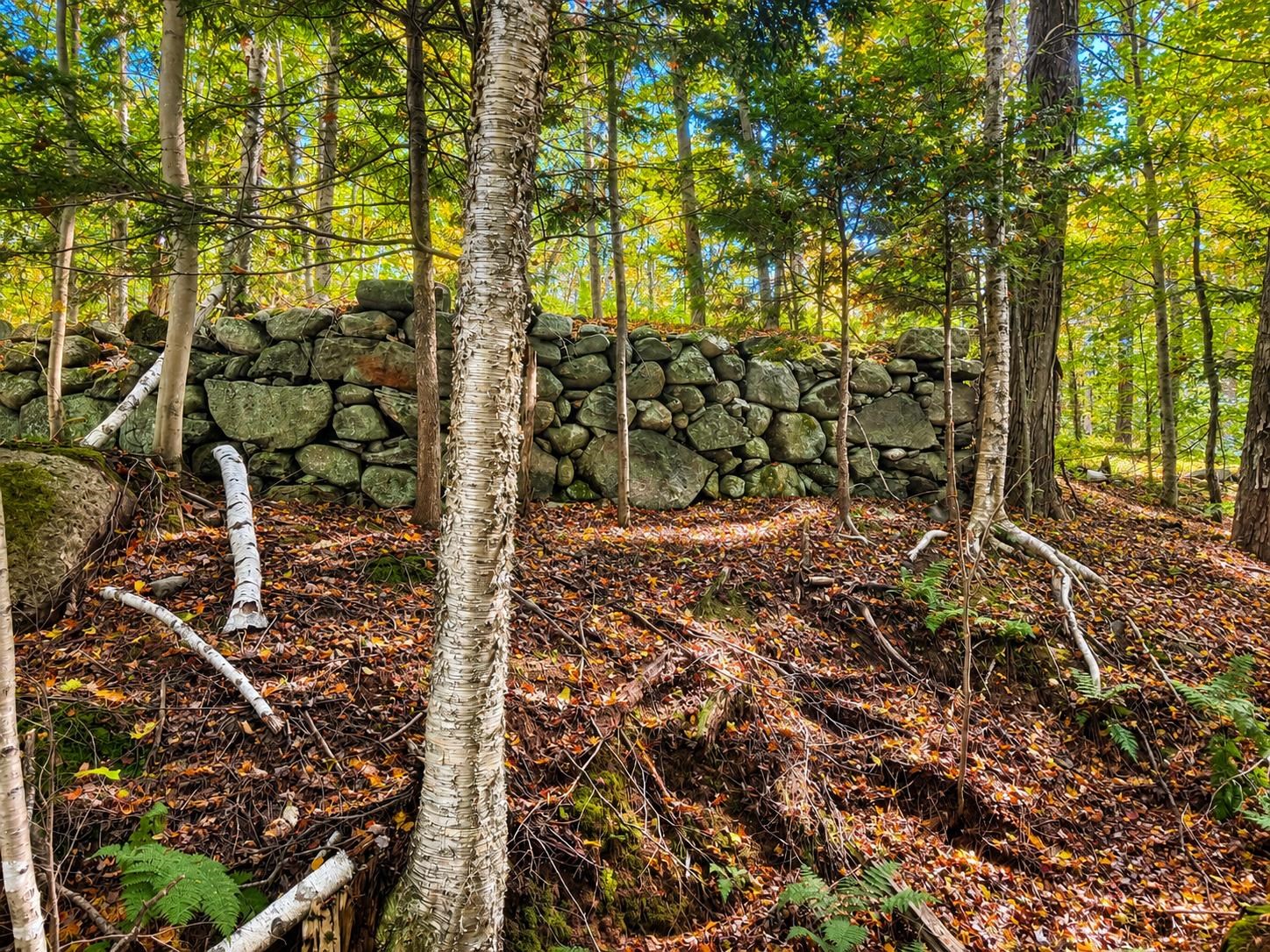 196 Route 10 Highway Property Photo 26