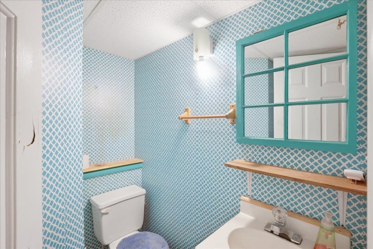113 Winters Lane Extension Property Photo 37