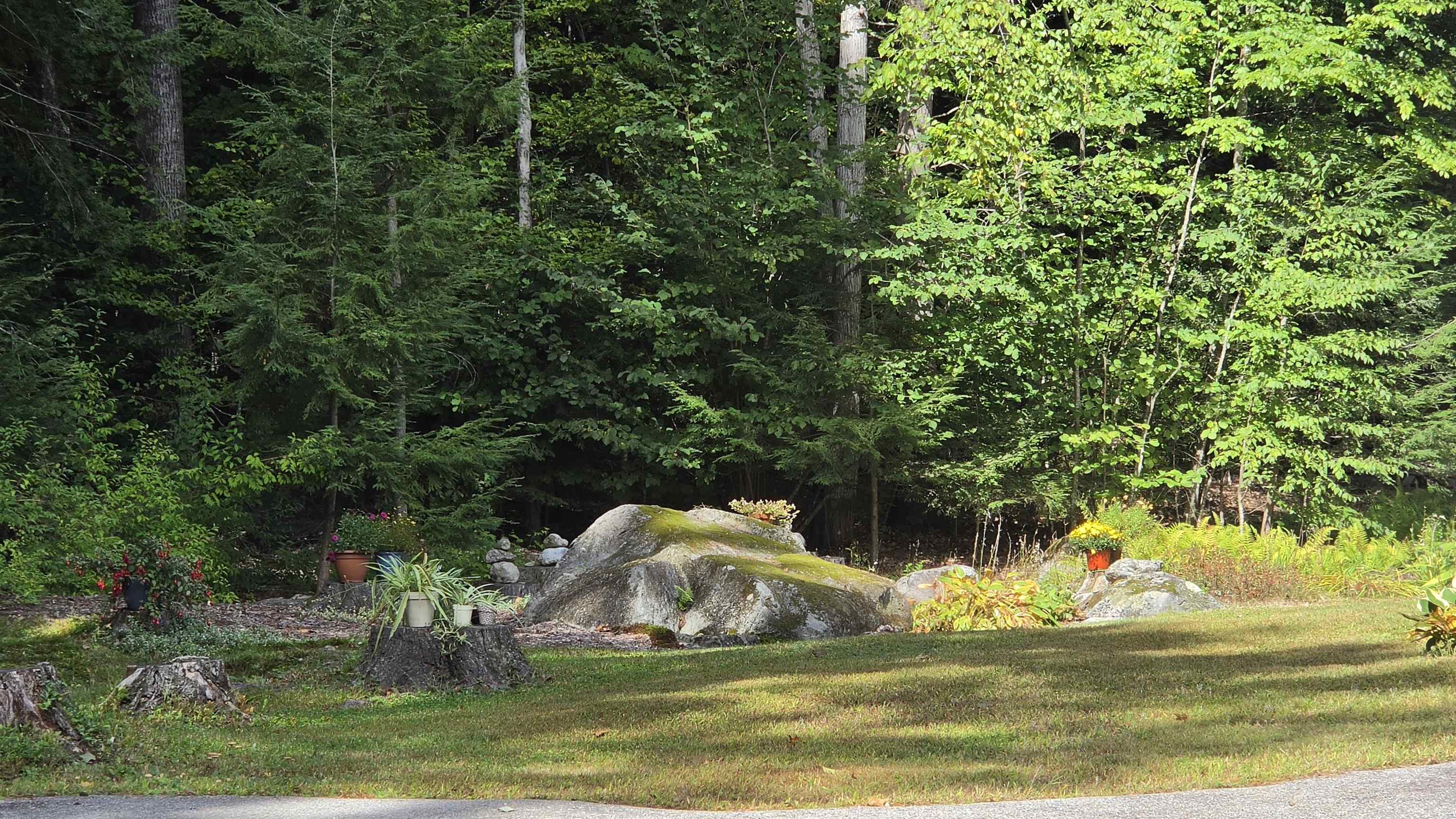 90 Deer Run Road Property Photo 46