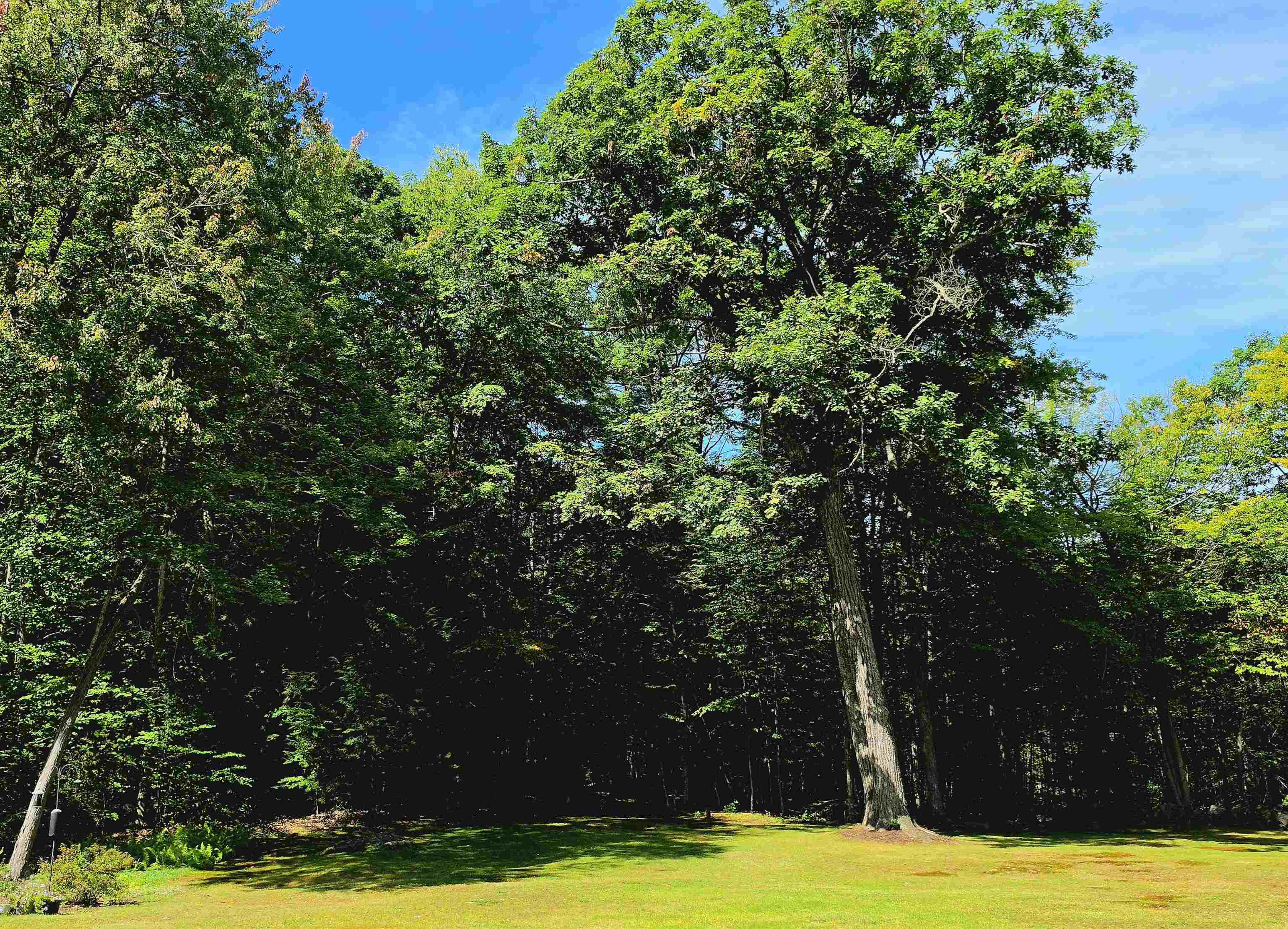 90 Deer Run Road Property Photo 47