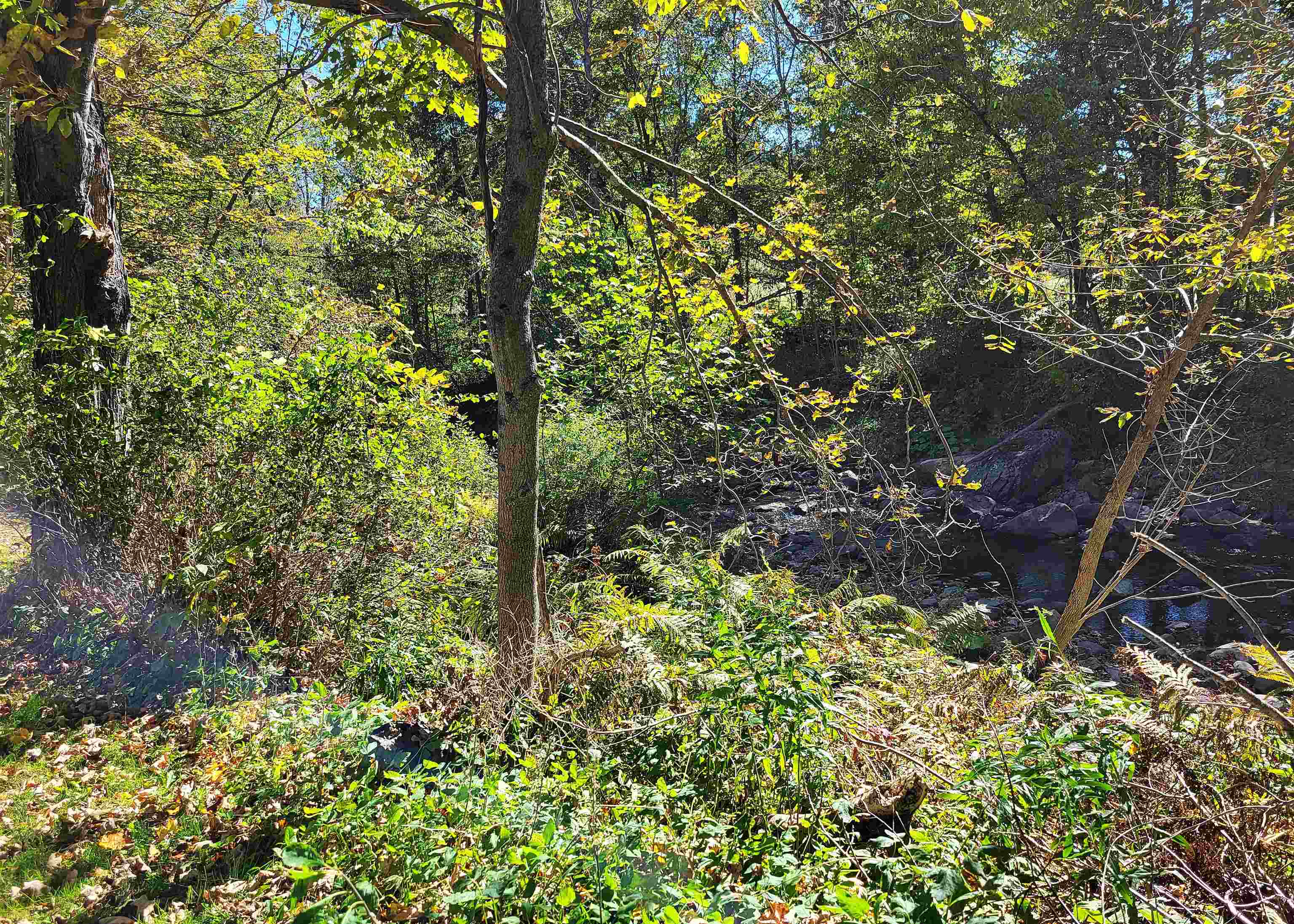 2205 Vt Route 103 North Property Photo 26