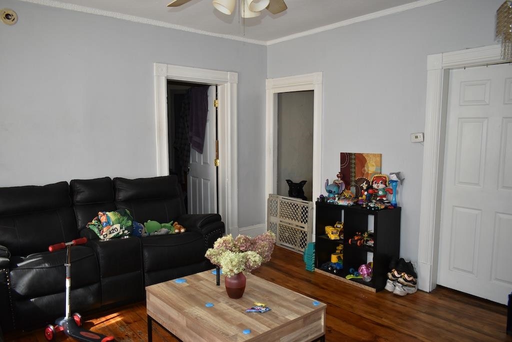 429 Wilson Street Property Photo 7