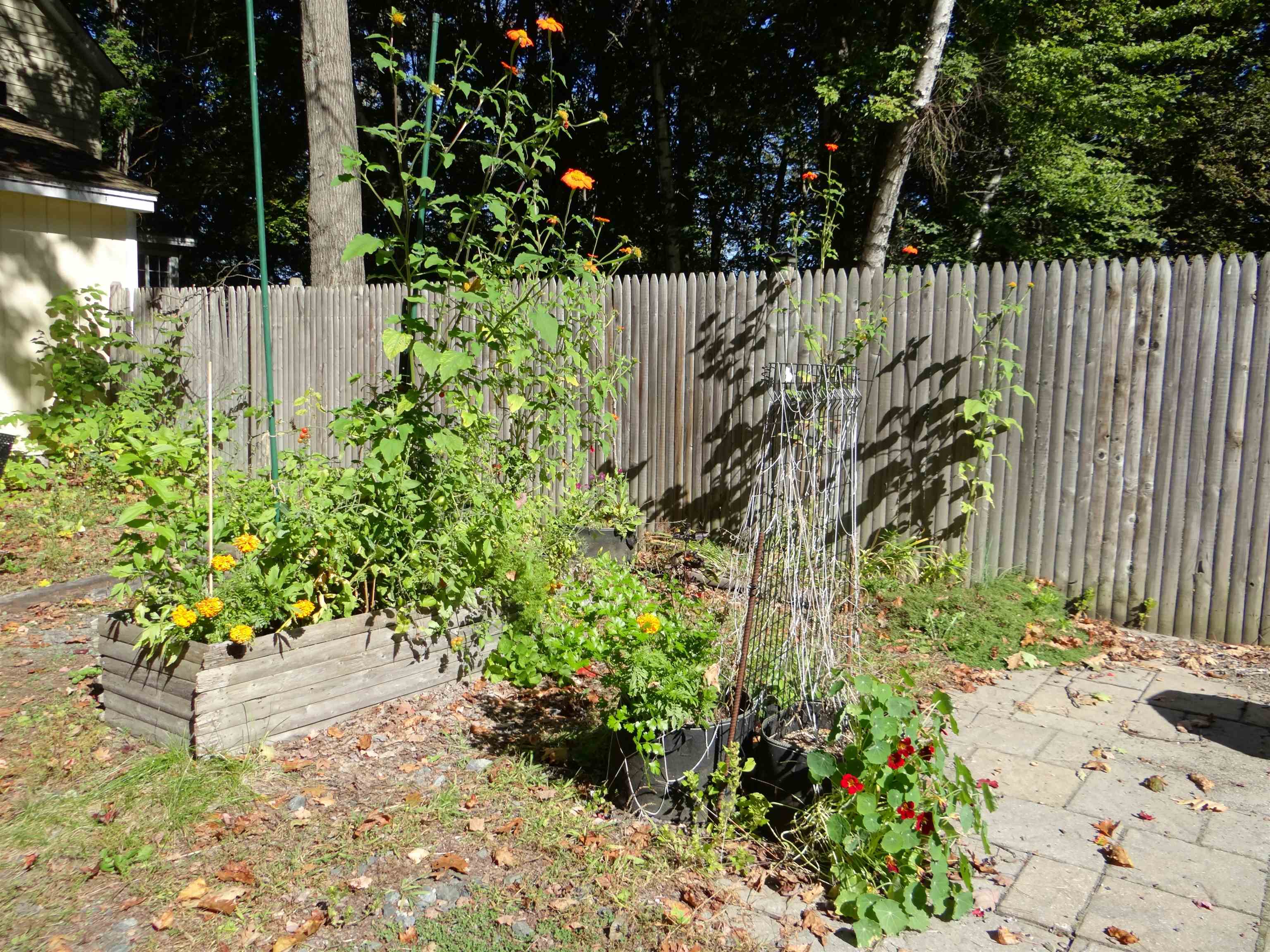 123 Hillcrest Terrace Property Photo 6