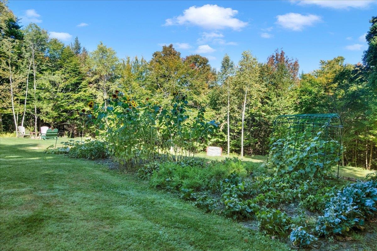 115 Riddle Road Property Photo 45