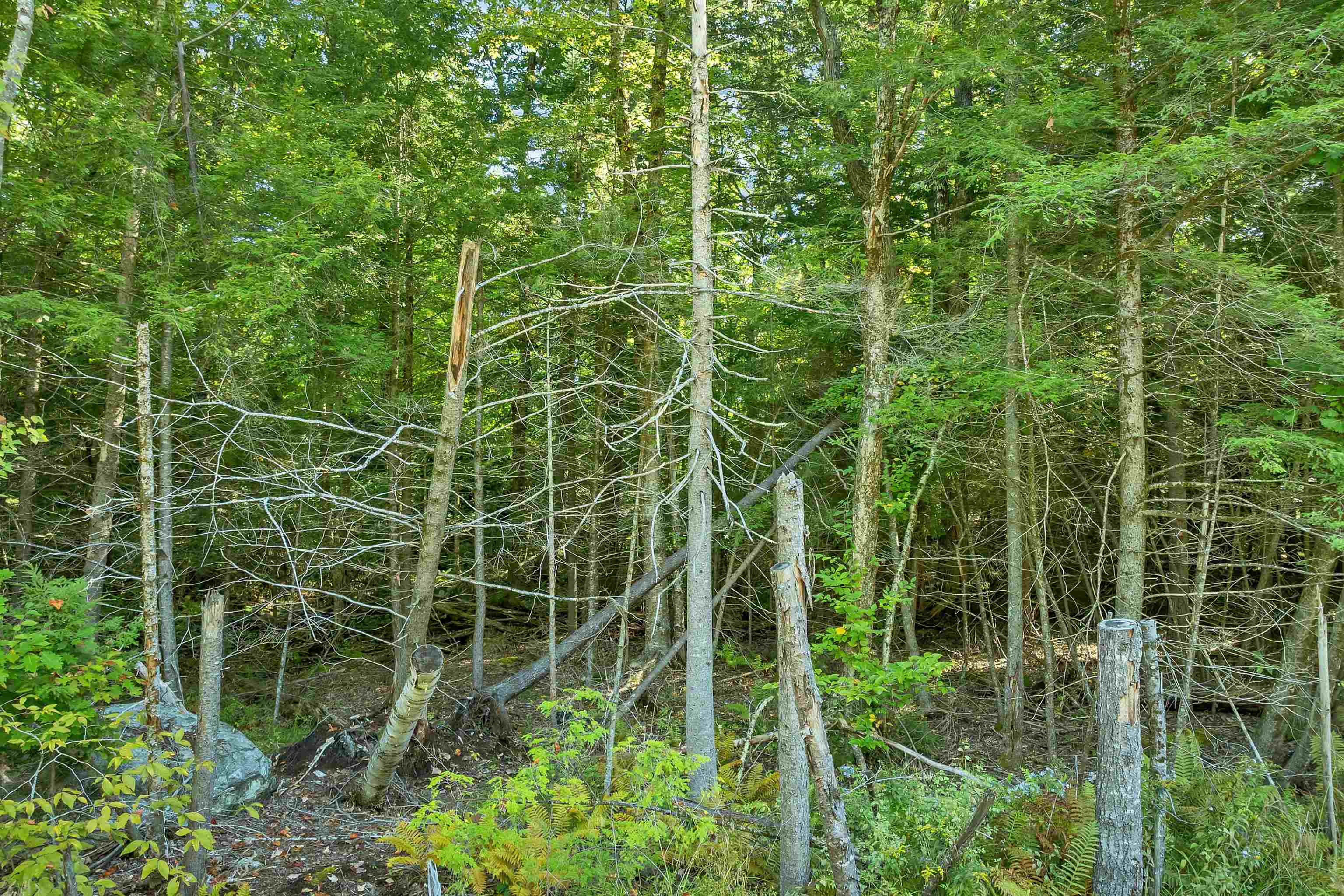 Rogers Road Property Photo 25