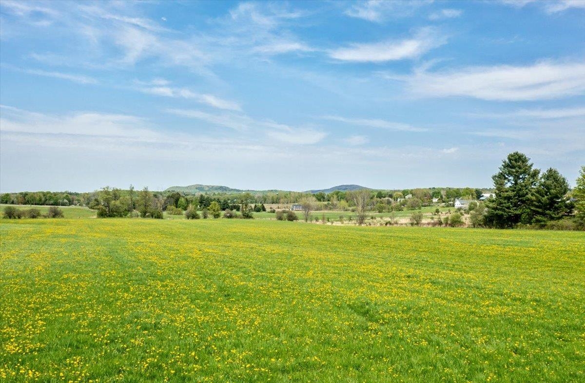 Lot 2 Plains Road Property Photo 7