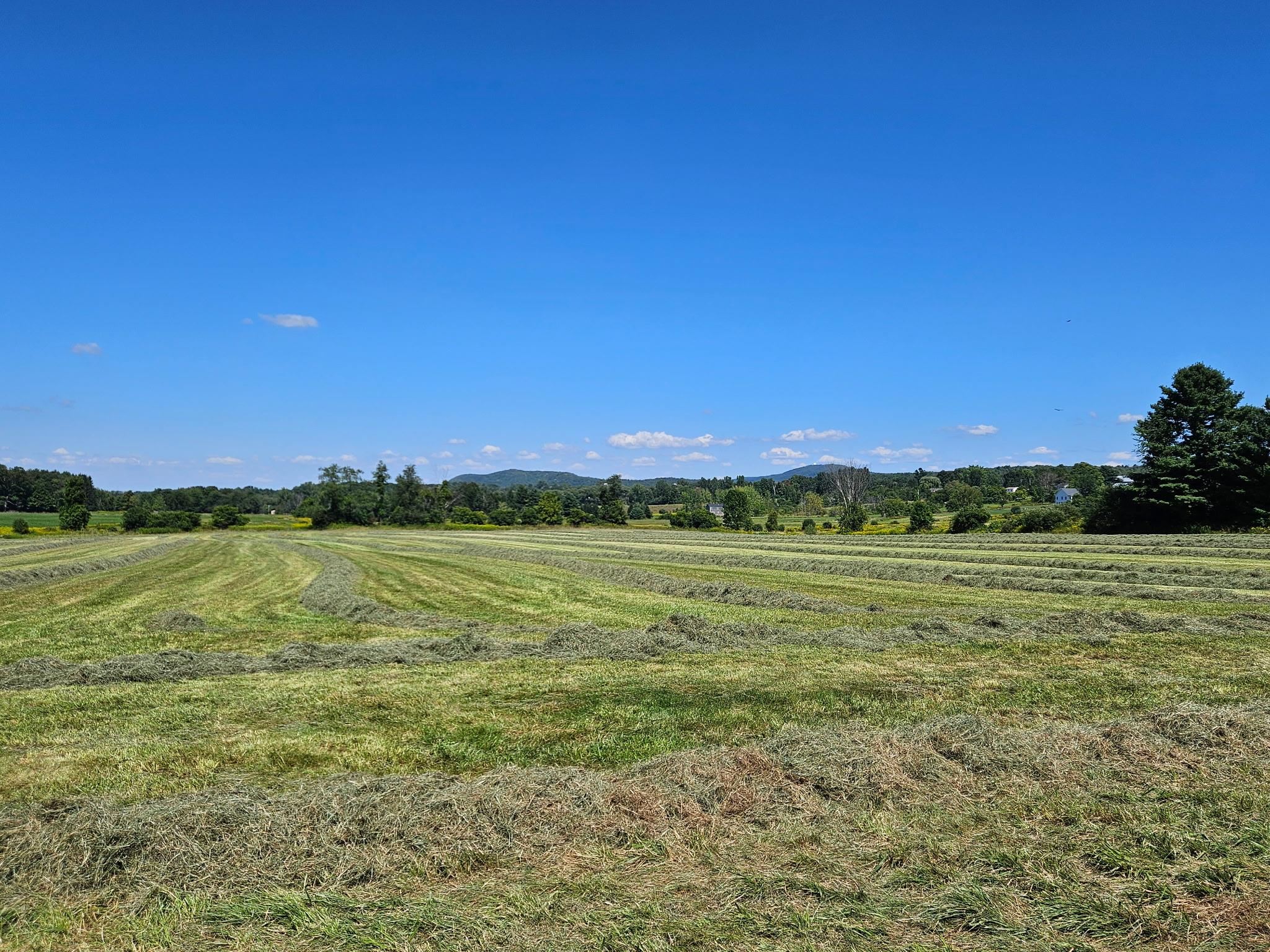 Lot 2 Plains Road Property Photo 12