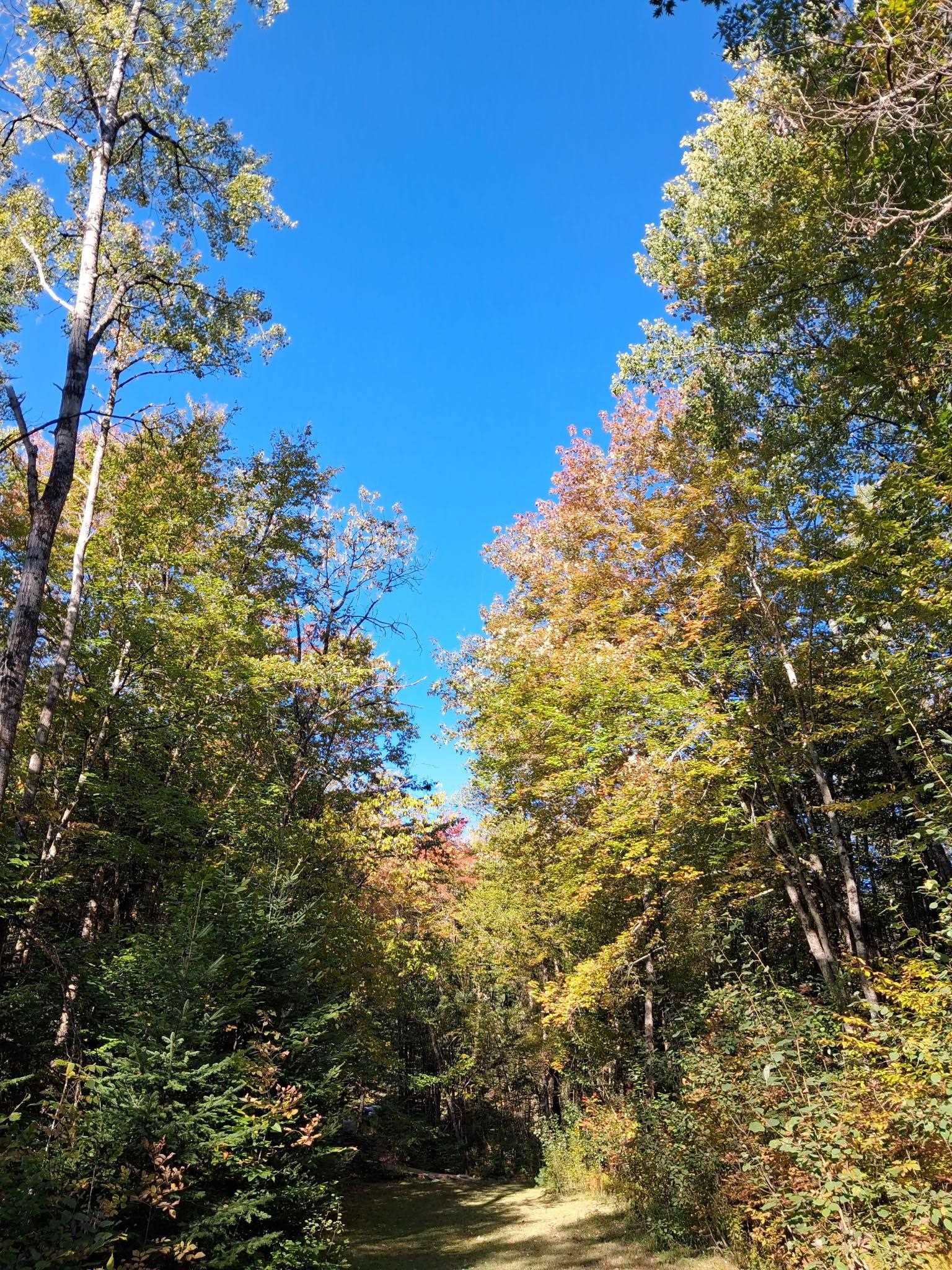 5157 Vt Route 18 Property Photo 21