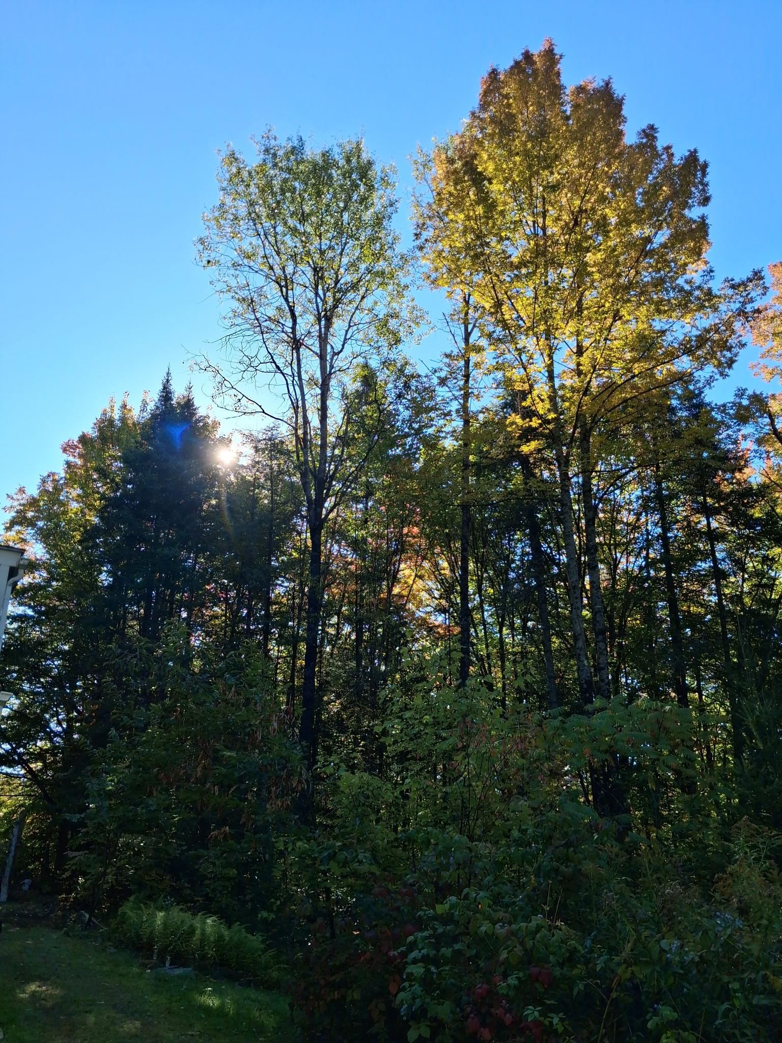 5157 Vt Route 18 Property Photo 22