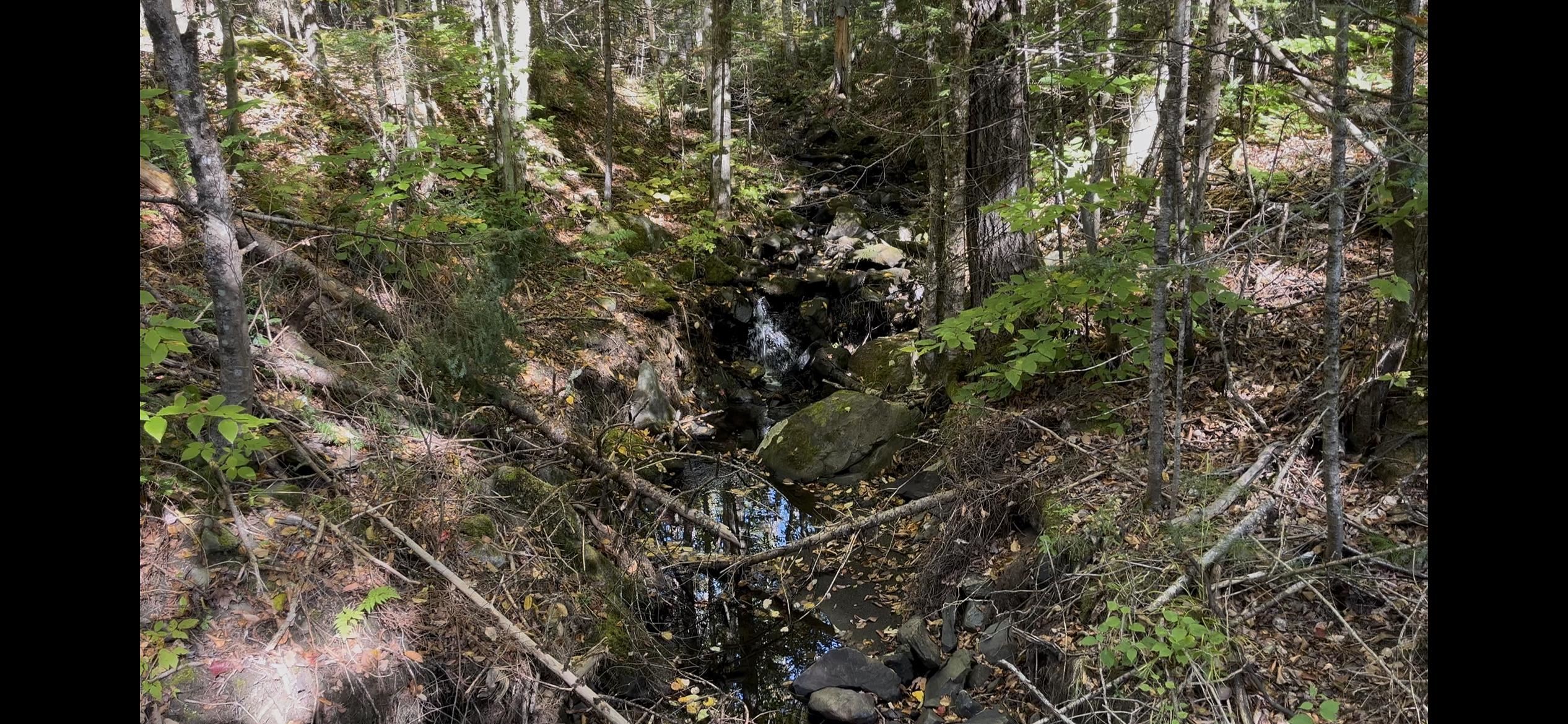 5157 Vt Route 18 Property Photo 23