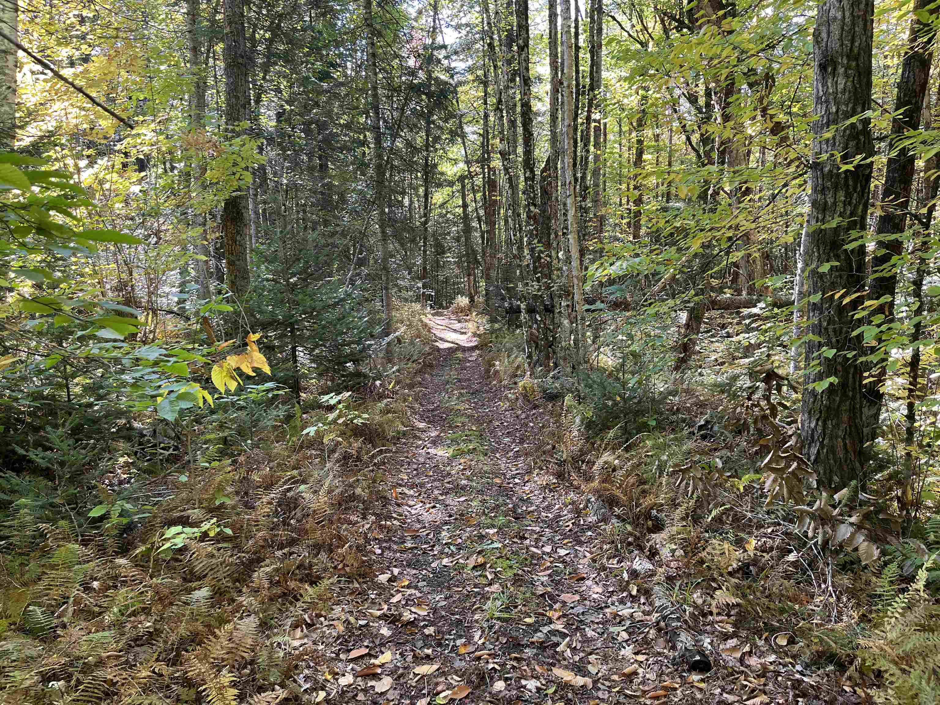 5157 Vt Route 18 Property Photo 24