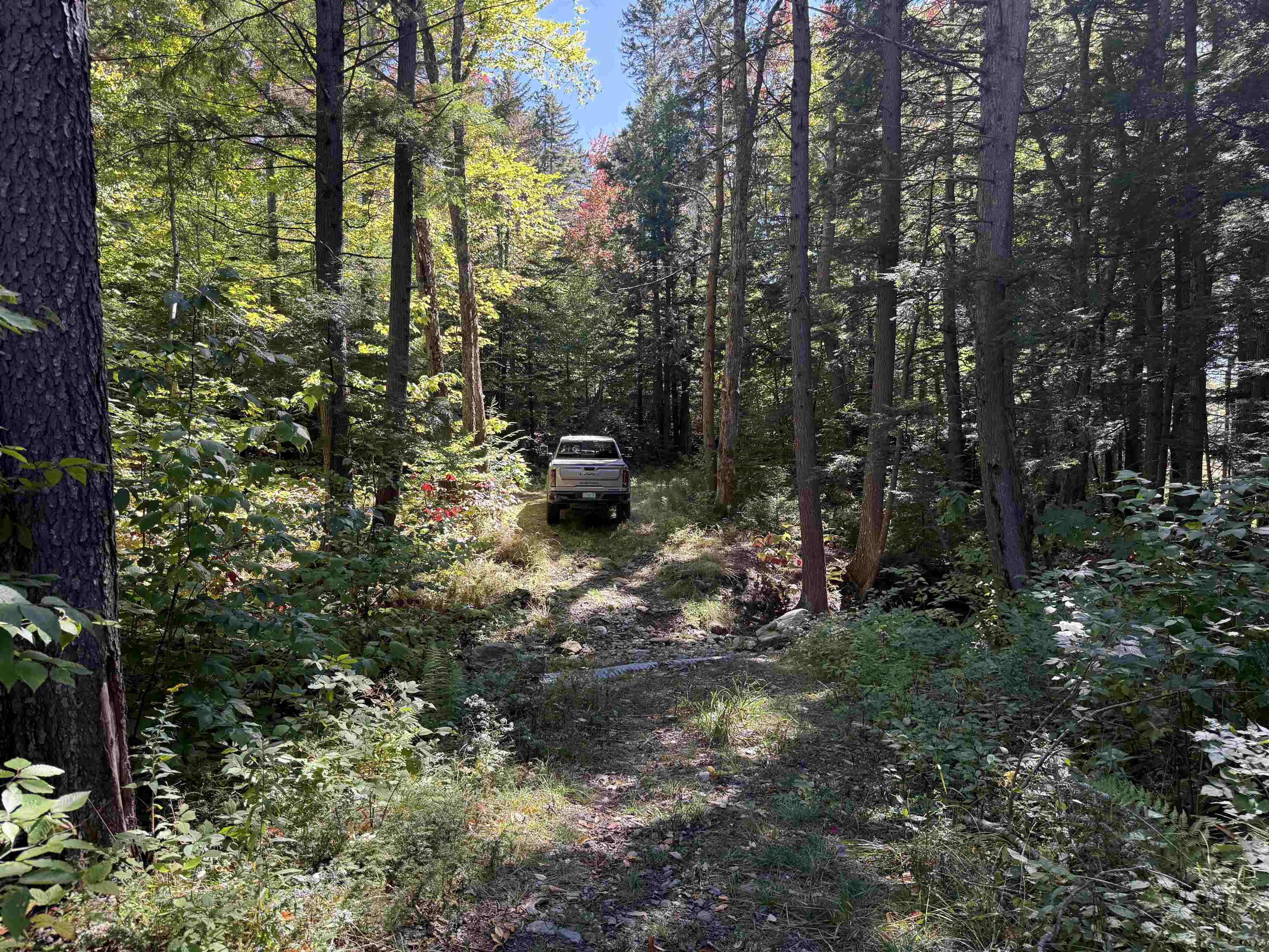 0 Old Road Nine Property Photo 6