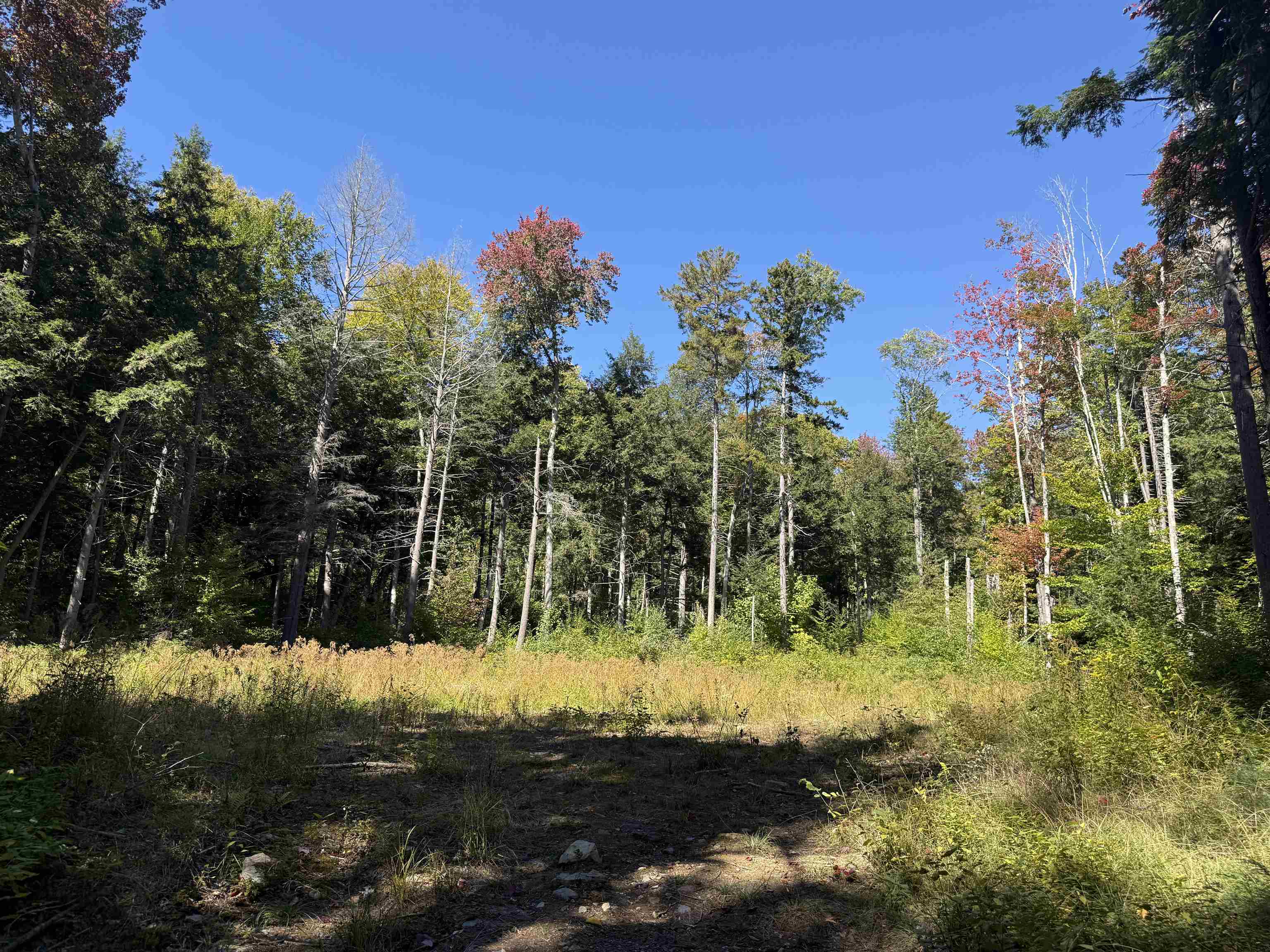 0 Old Road Nine Property Photo 7