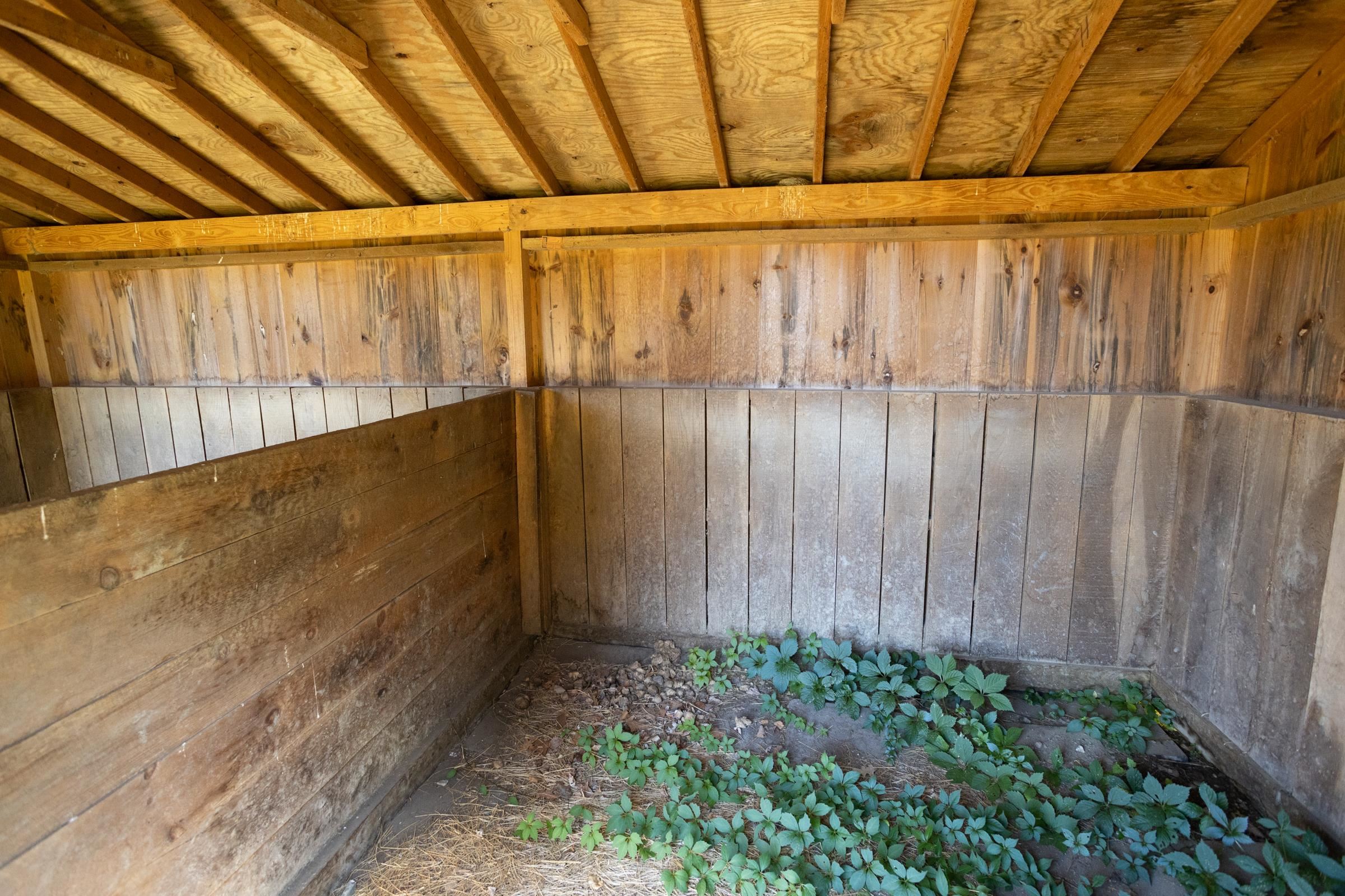 257 Watrous Road Property Photo 16