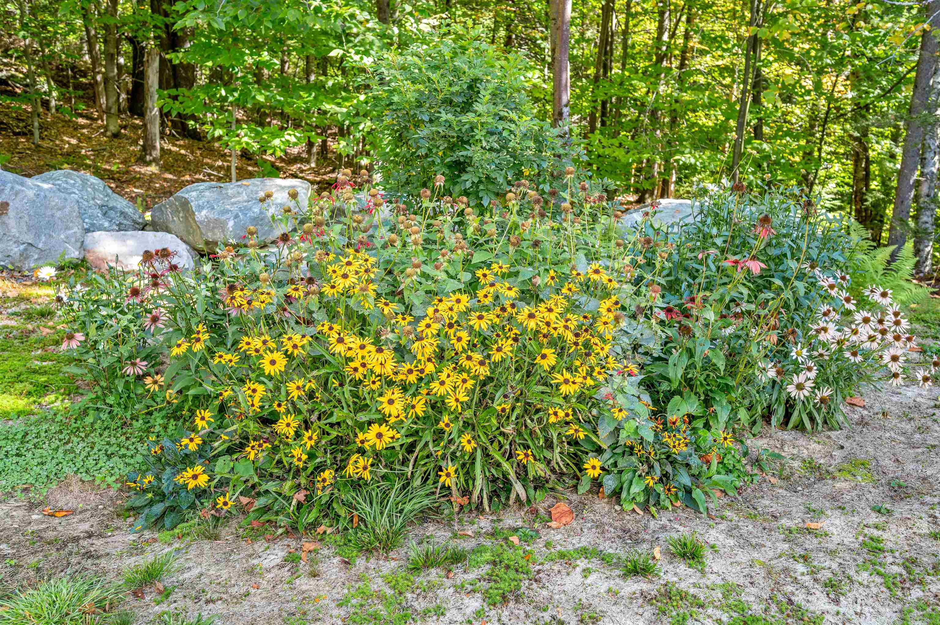 120 Stony Hill Road Property Photo 11