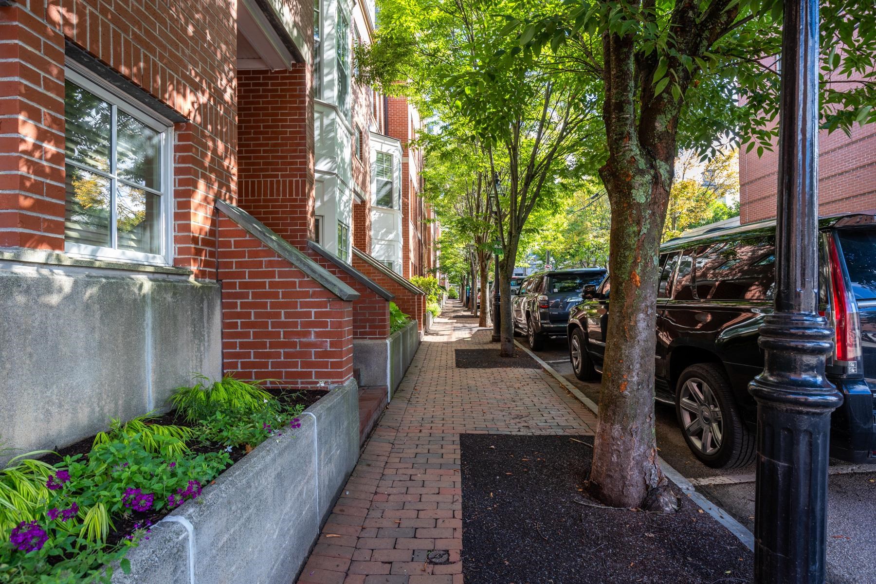 20 Porter Street Property Photo 2