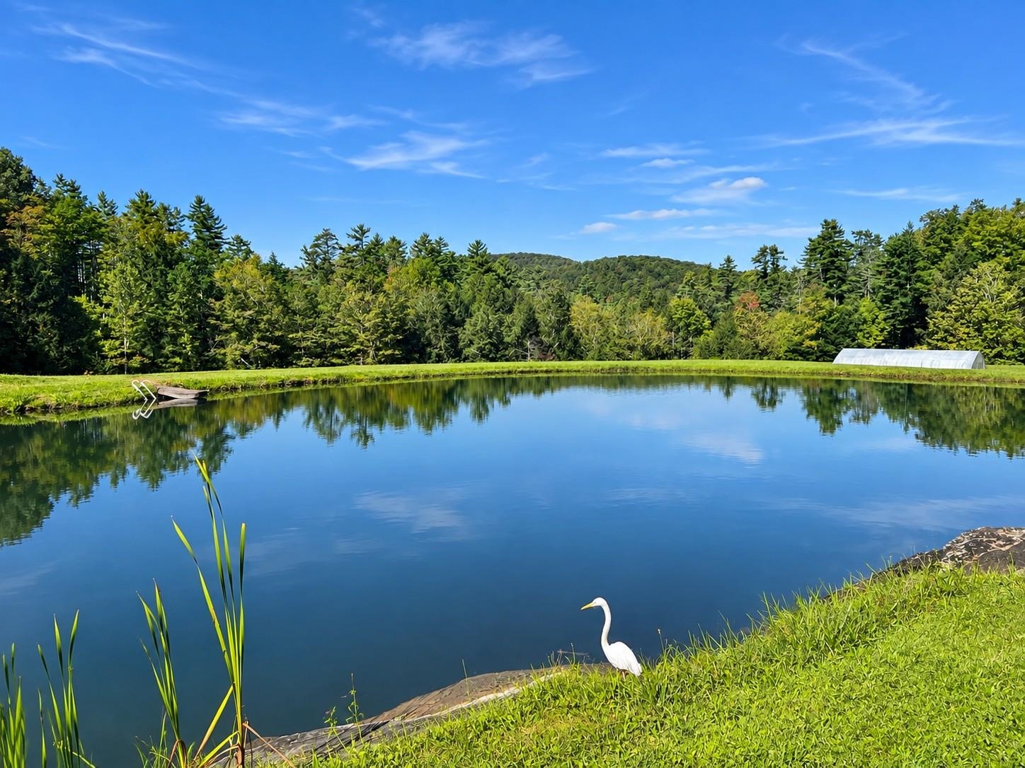 6405 Folding Hills Road Property Photo 10