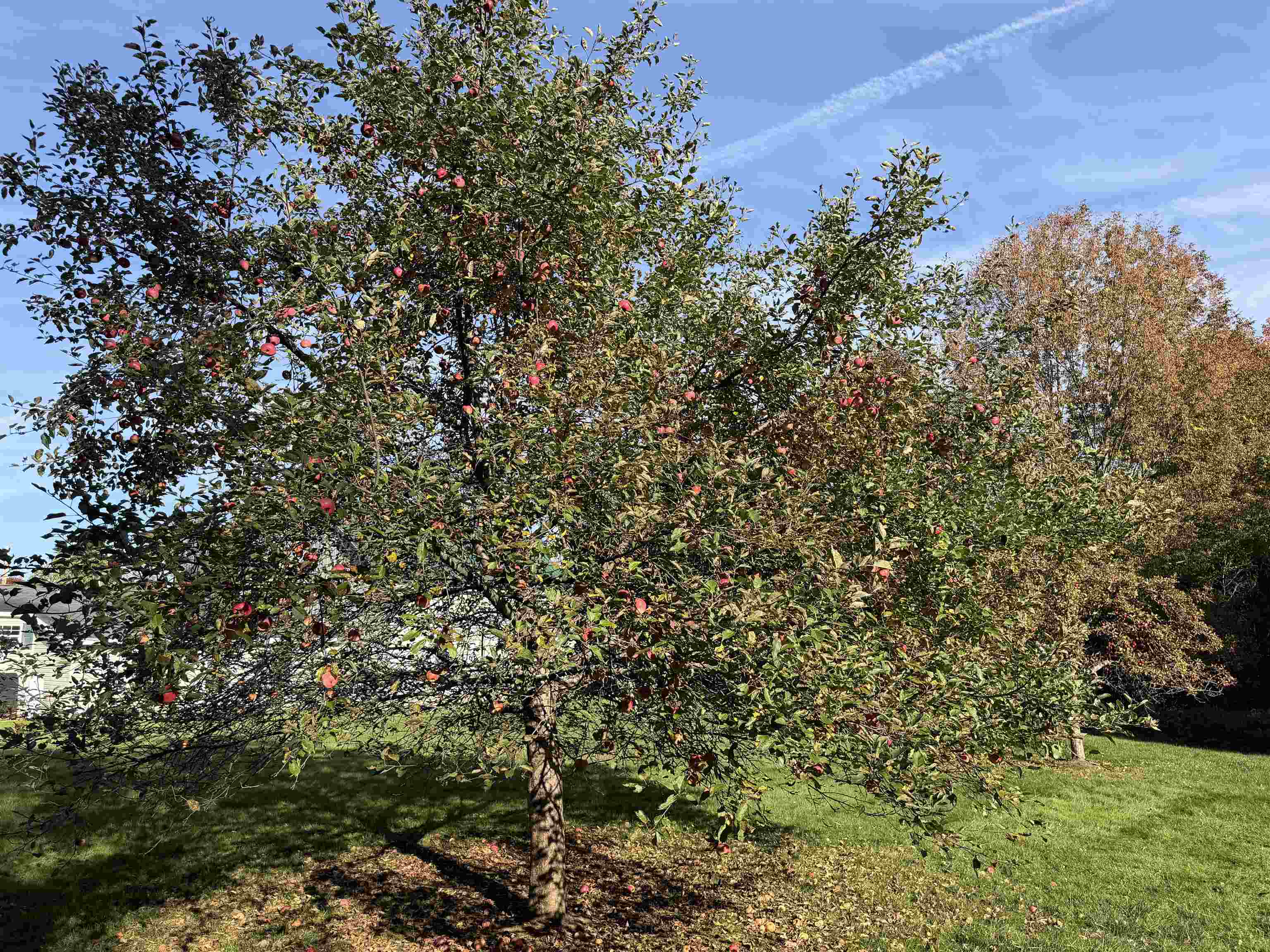 99 River Road Property Photo 17