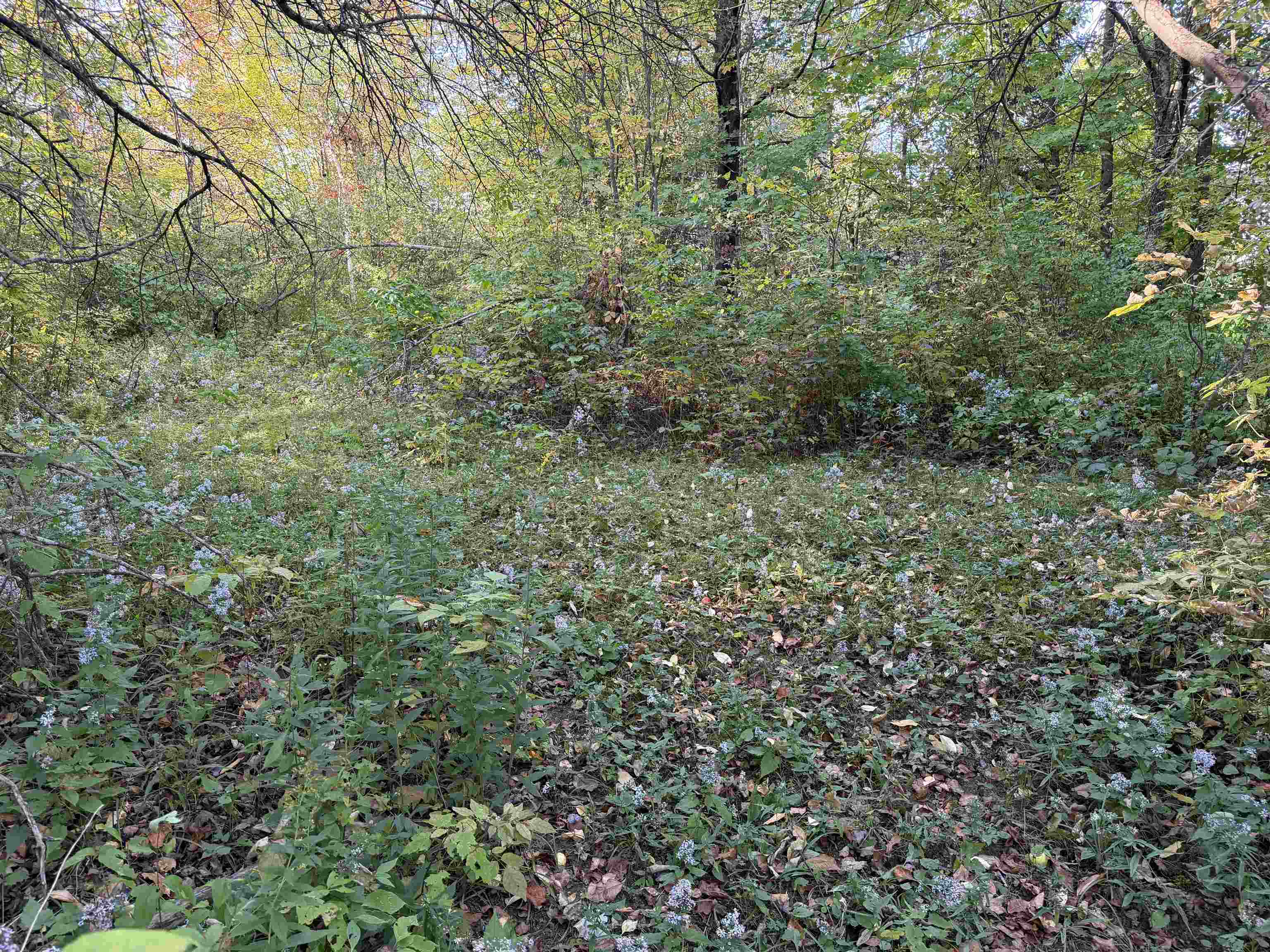 99 River Road Property Photo 38