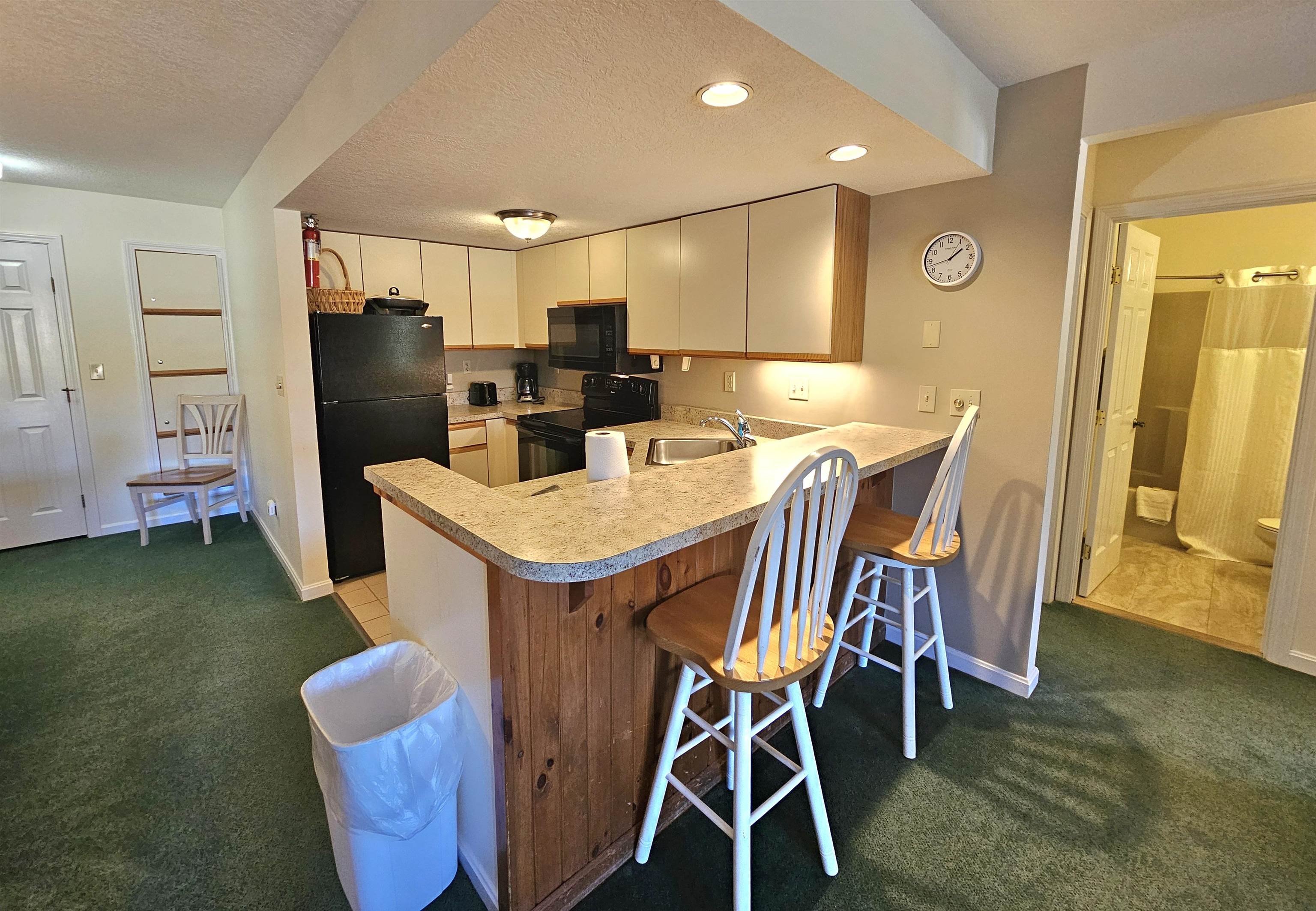 164 Deer Park Drive Property Photo 5