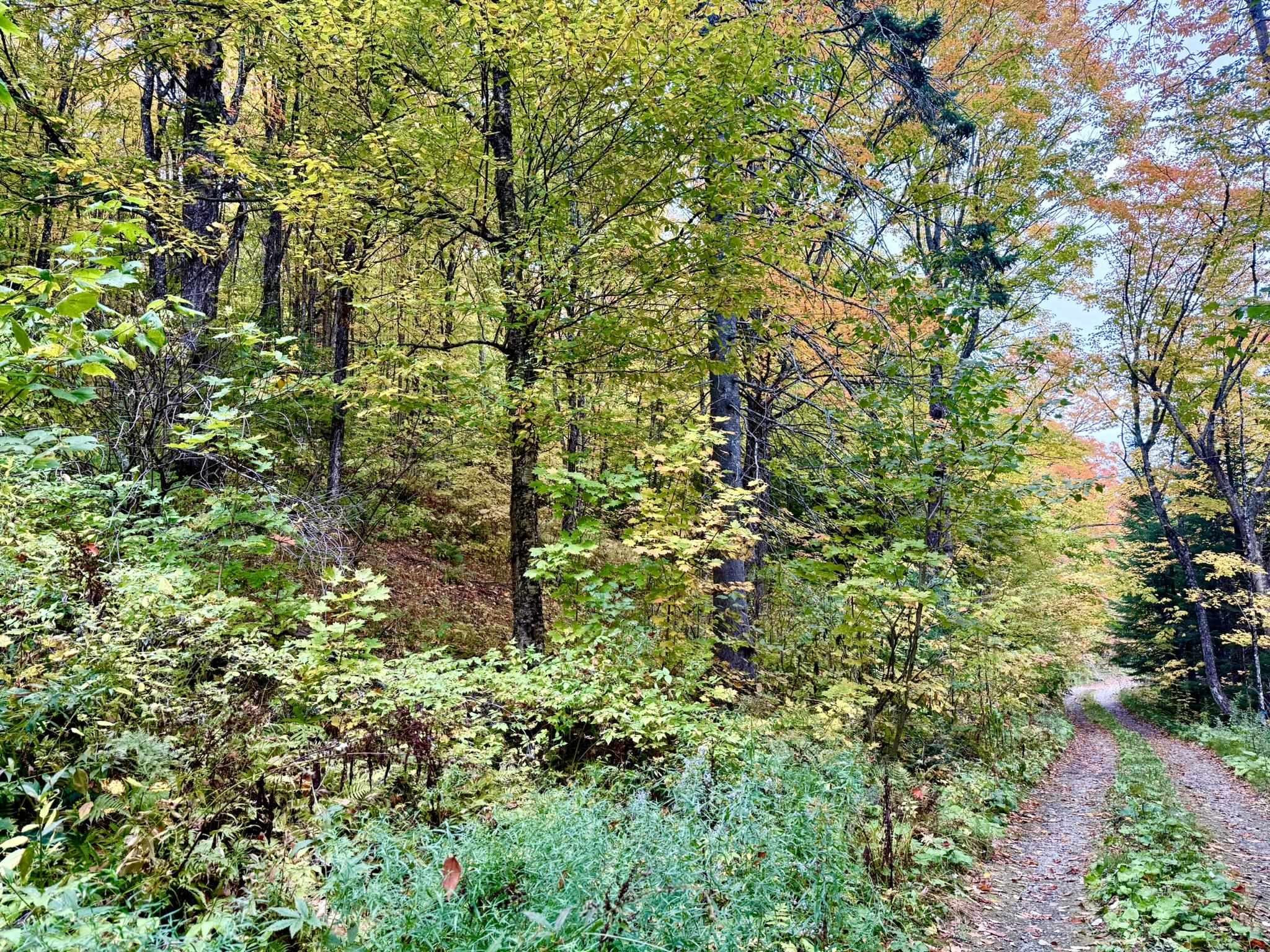 369 Hardscrabble Mountain Road Property Photo 1