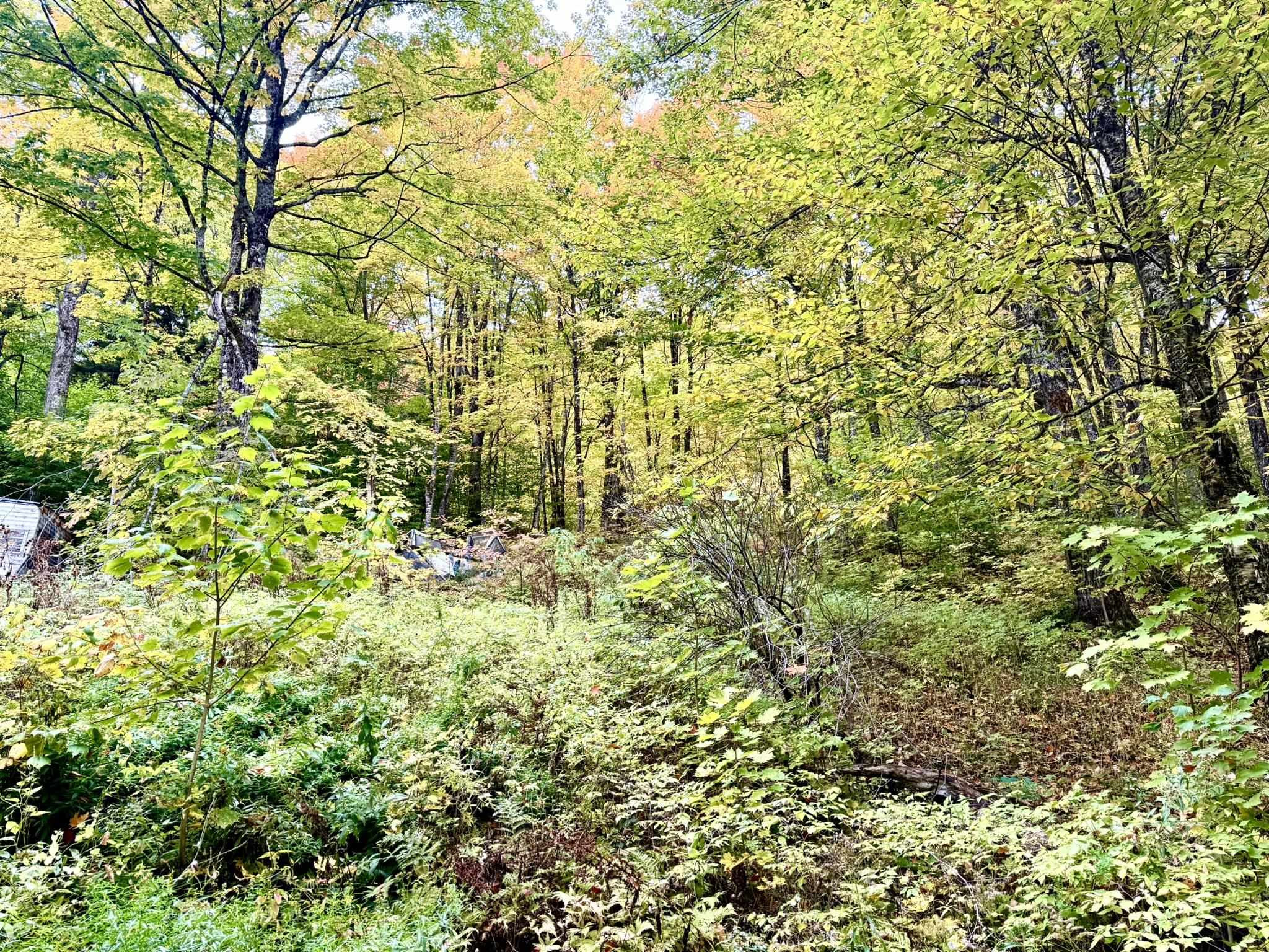 369 Hardscrabble Mountain Road Property Photo 4