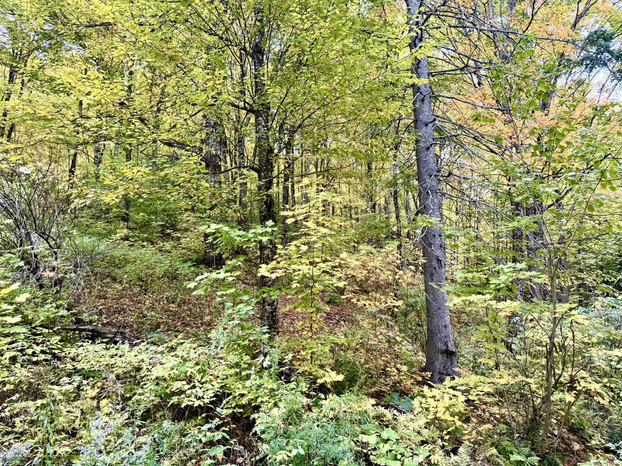 369 Hardscrabble Mountain Road Property Photo 5