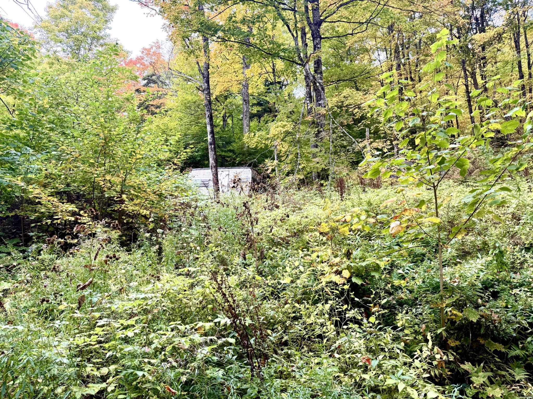 369 Hardscrabble Mountain Road Property Photo 6