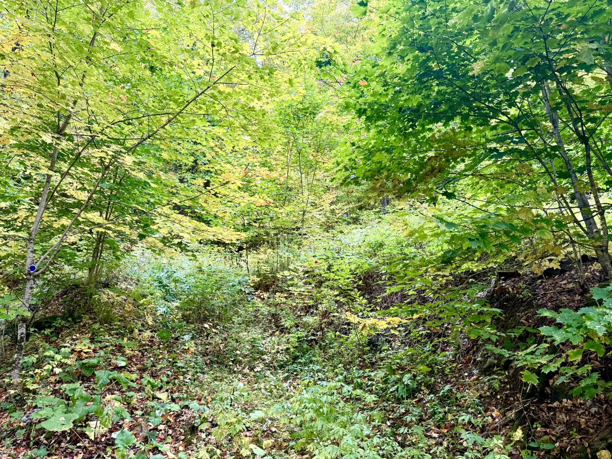 369 Hardscrabble Mountain Road Property Photo 7