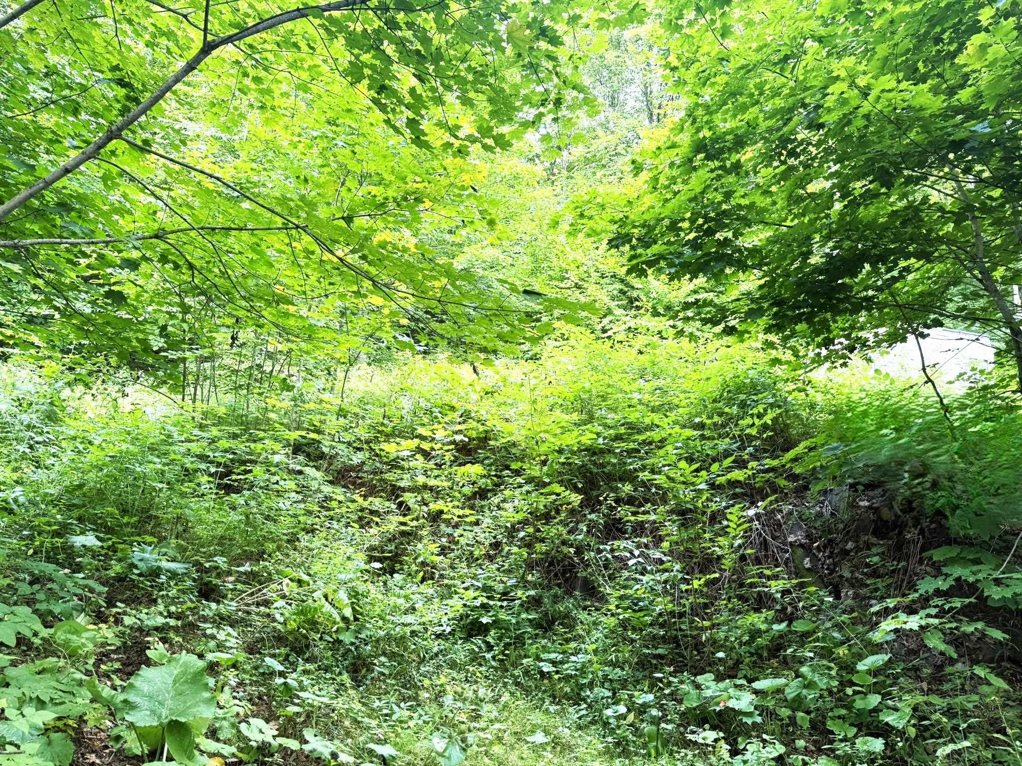 369 Hardscrabble Mountain Road Property Photo 8