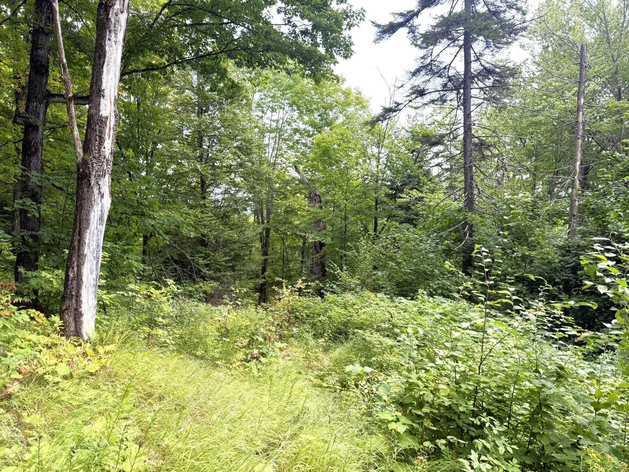 369 Hardscrabble Mountain Road Property Photo 10