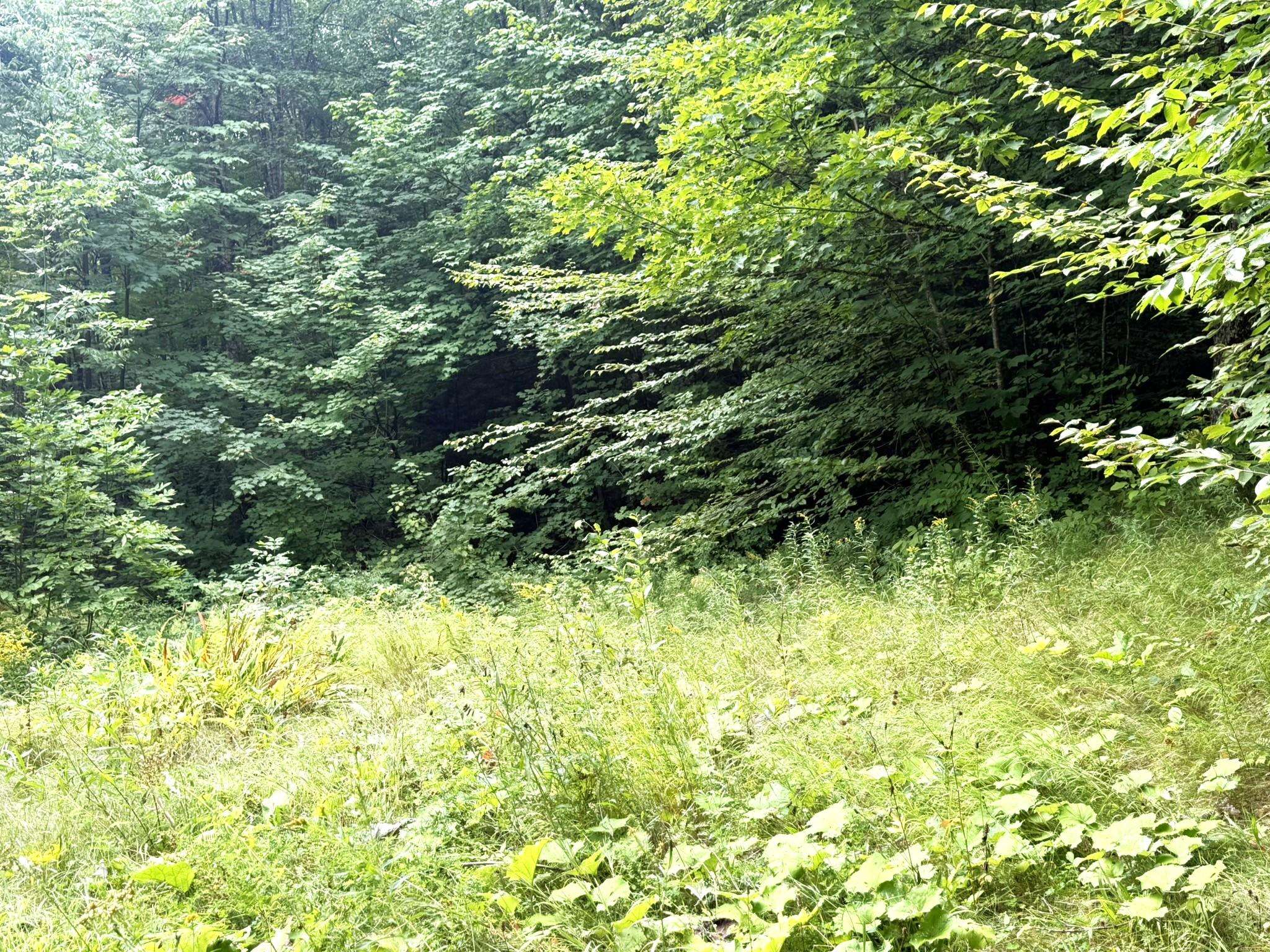 369 Hardscrabble Mountain Road Property Photo 15