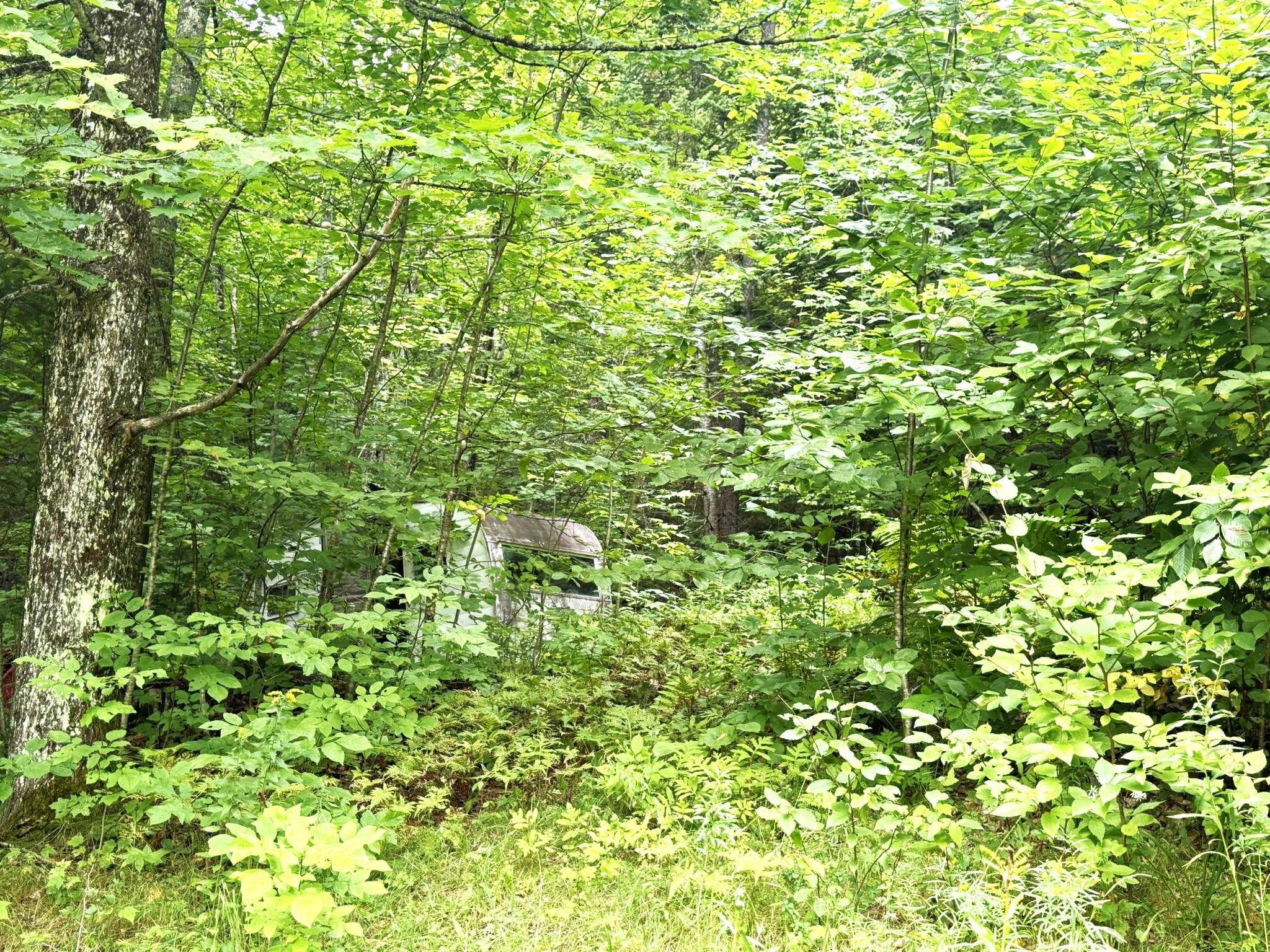 369 Hardscrabble Mountain Road Property Photo 16