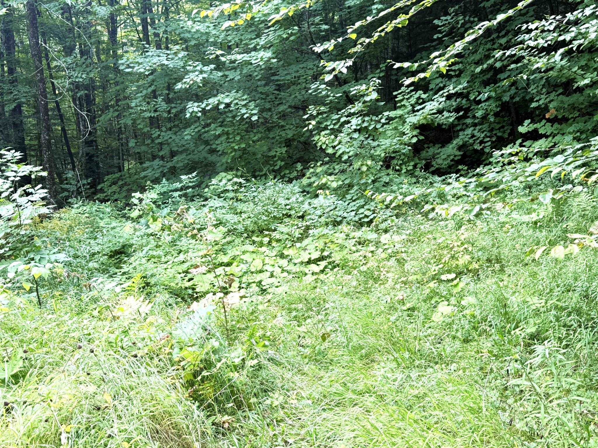 369 Hardscrabble Mountain Road Property Photo 17