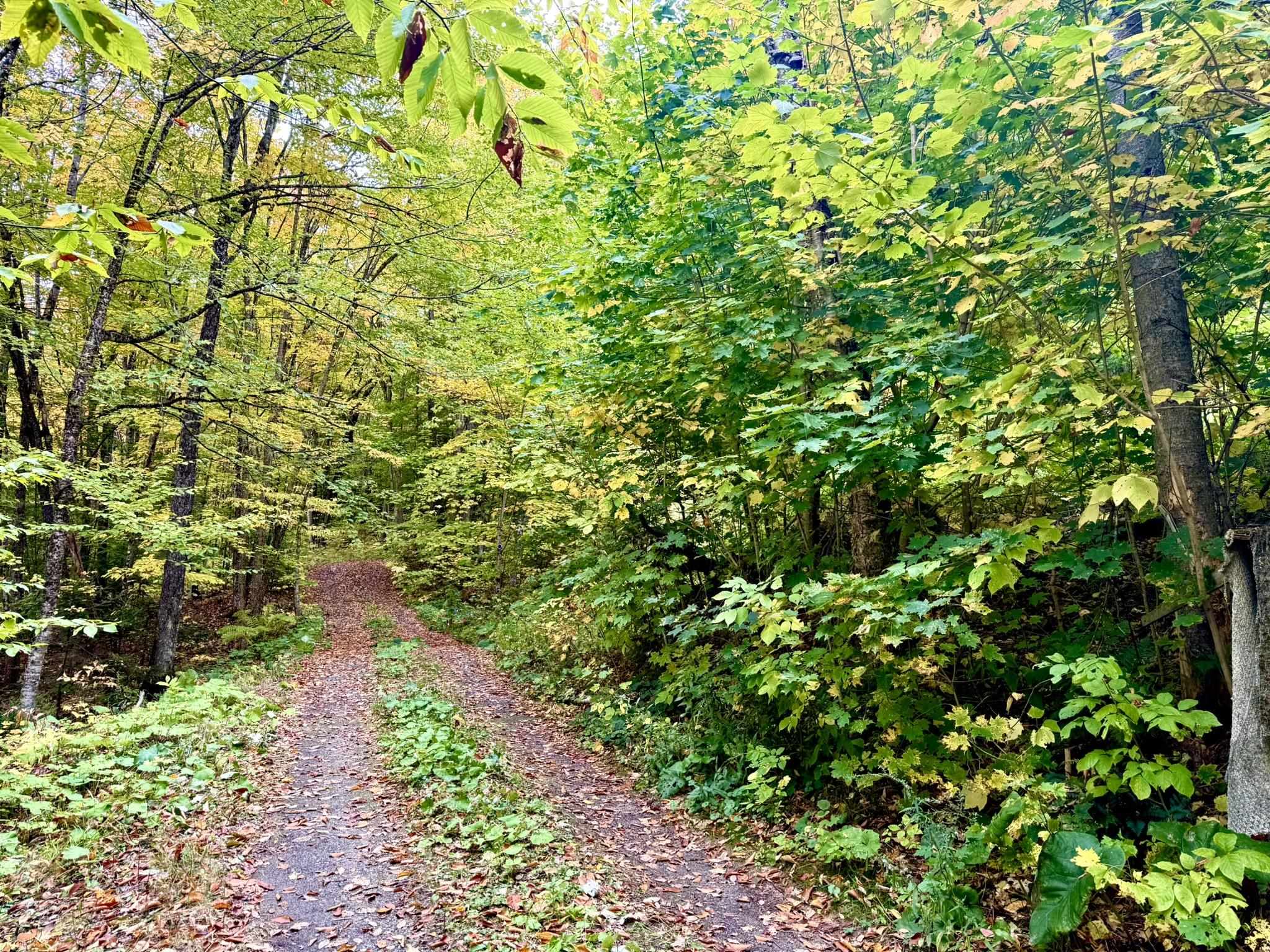369 Hardscrabble Mountain Road Property Photo 18