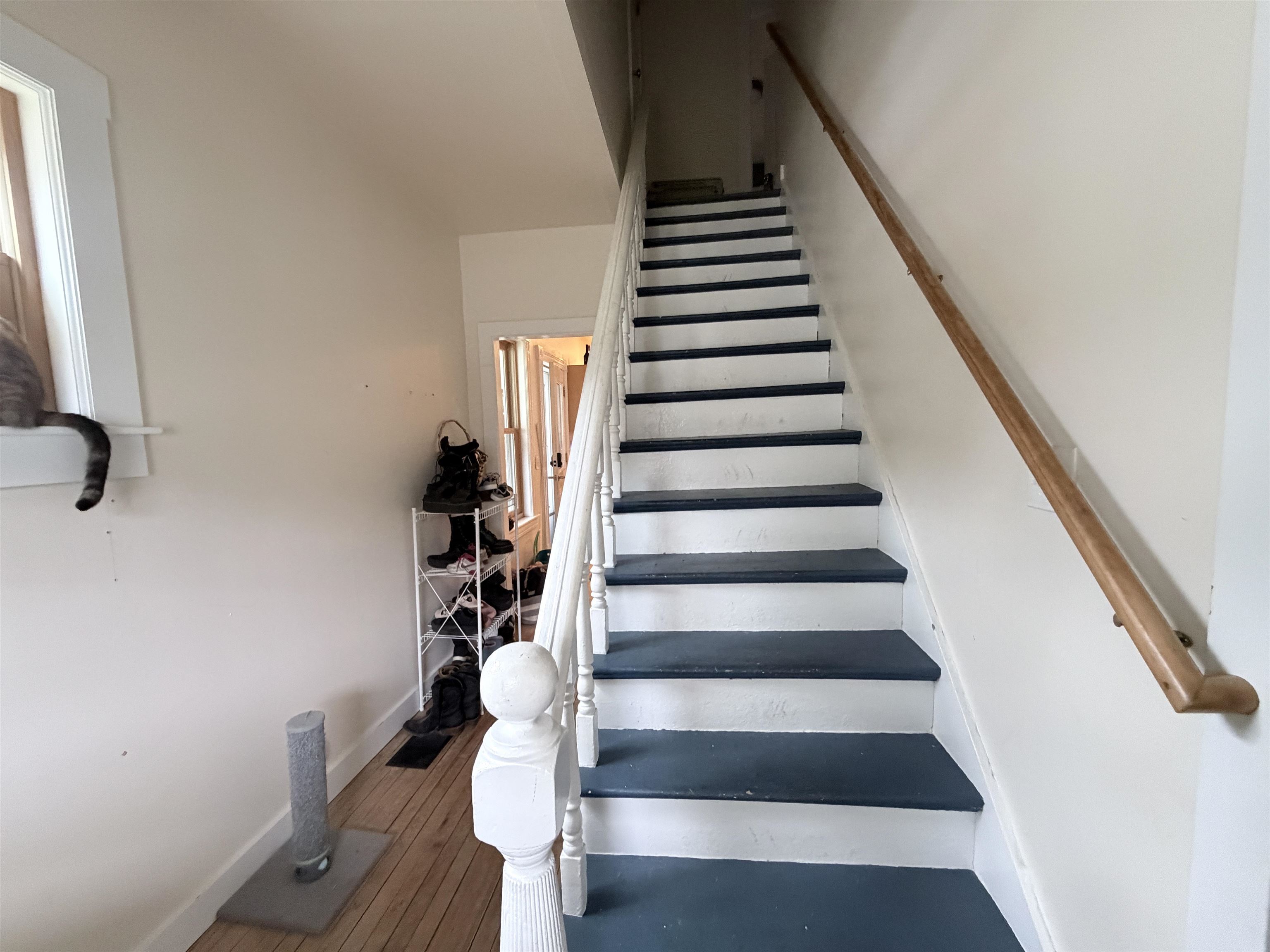 28 Dale Street Property Photo 9
