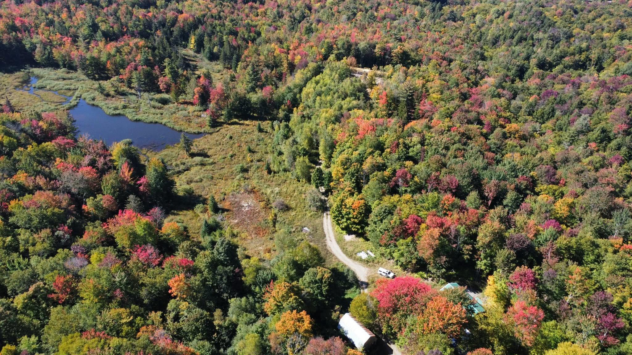 689 Black Falls Extension Property Photo 2