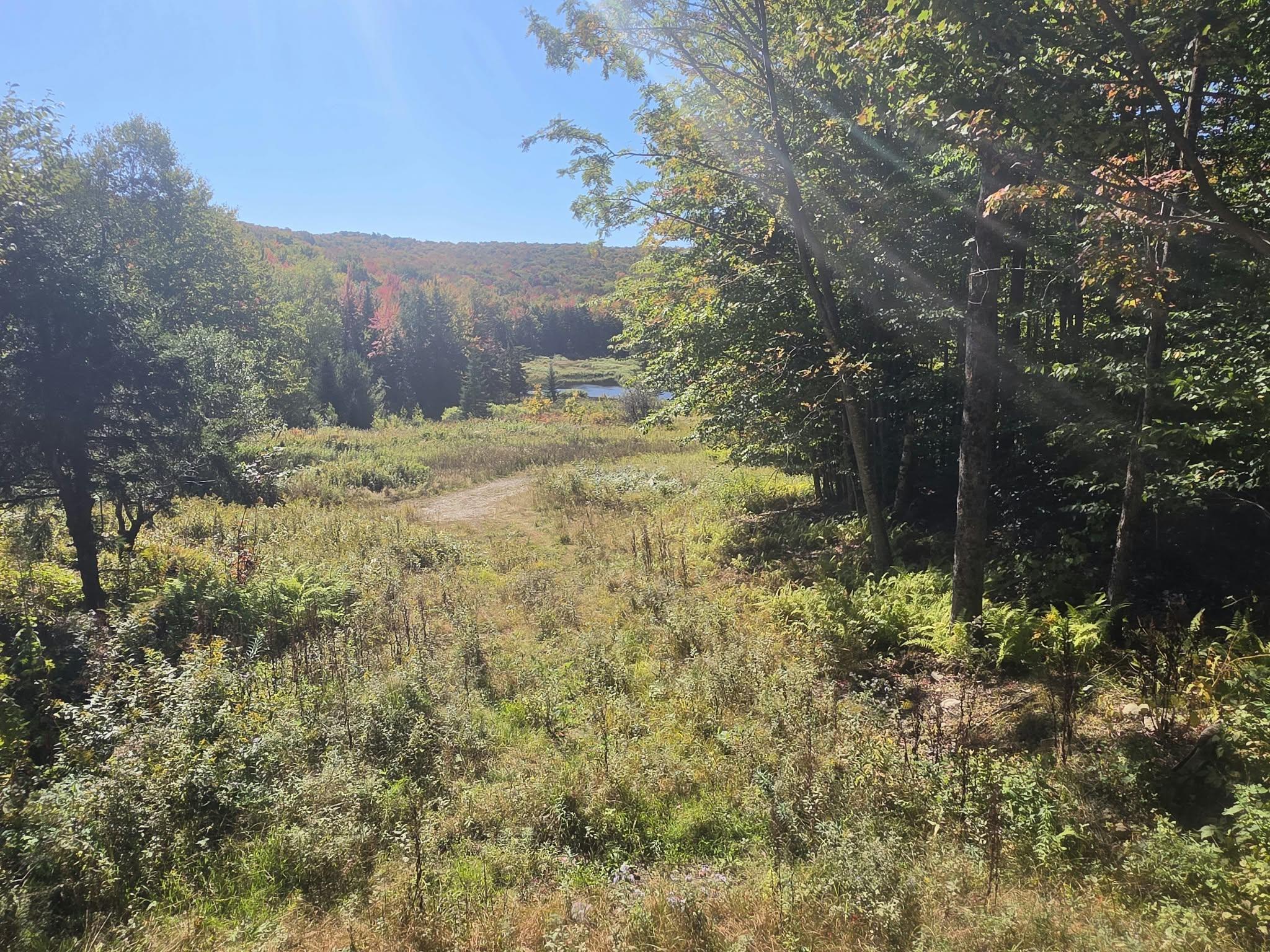 689 Black Falls Extension Property Photo 11